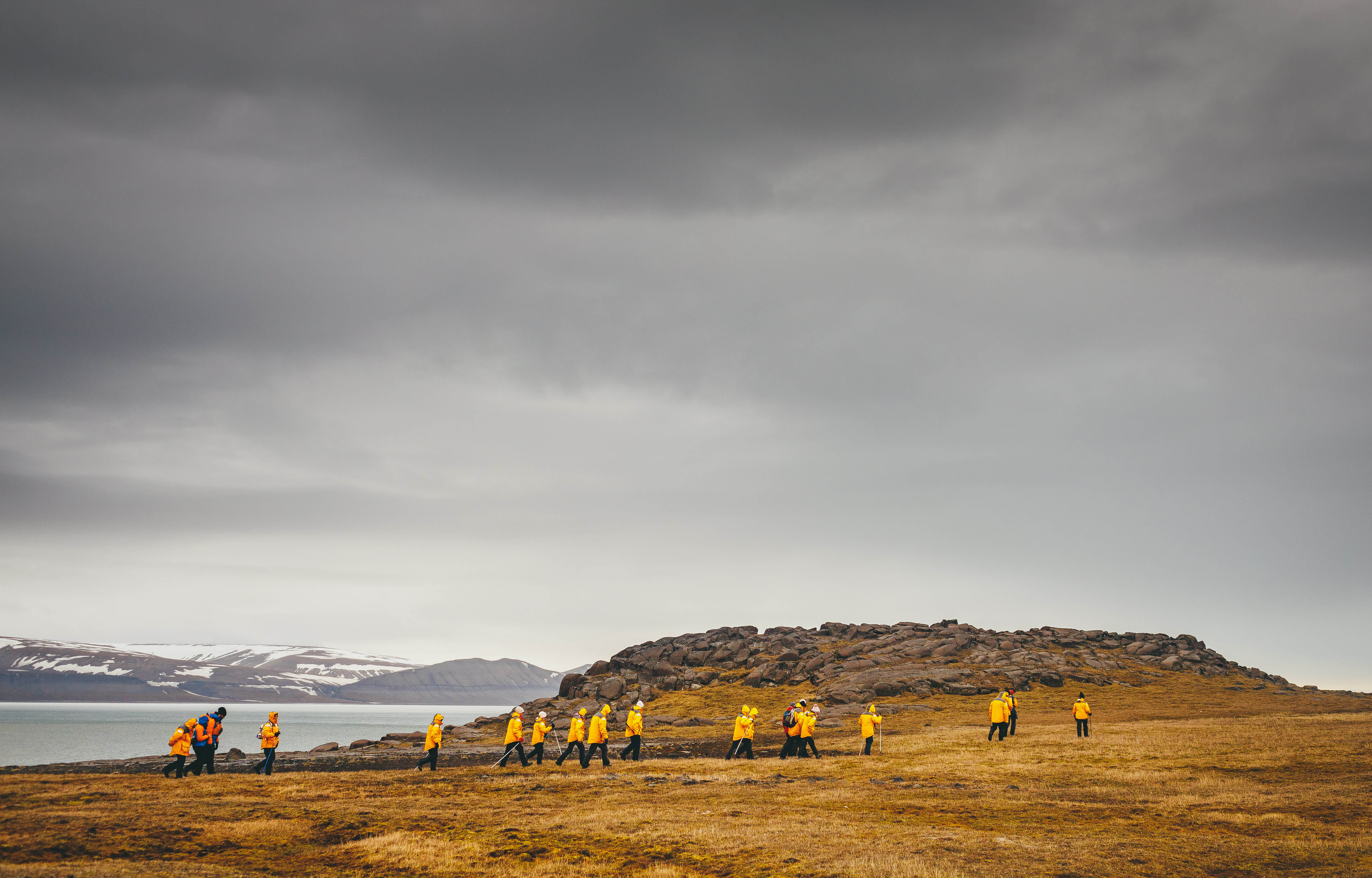 Svalbard in Summer: Tundra, Whales and the Midnight Sun