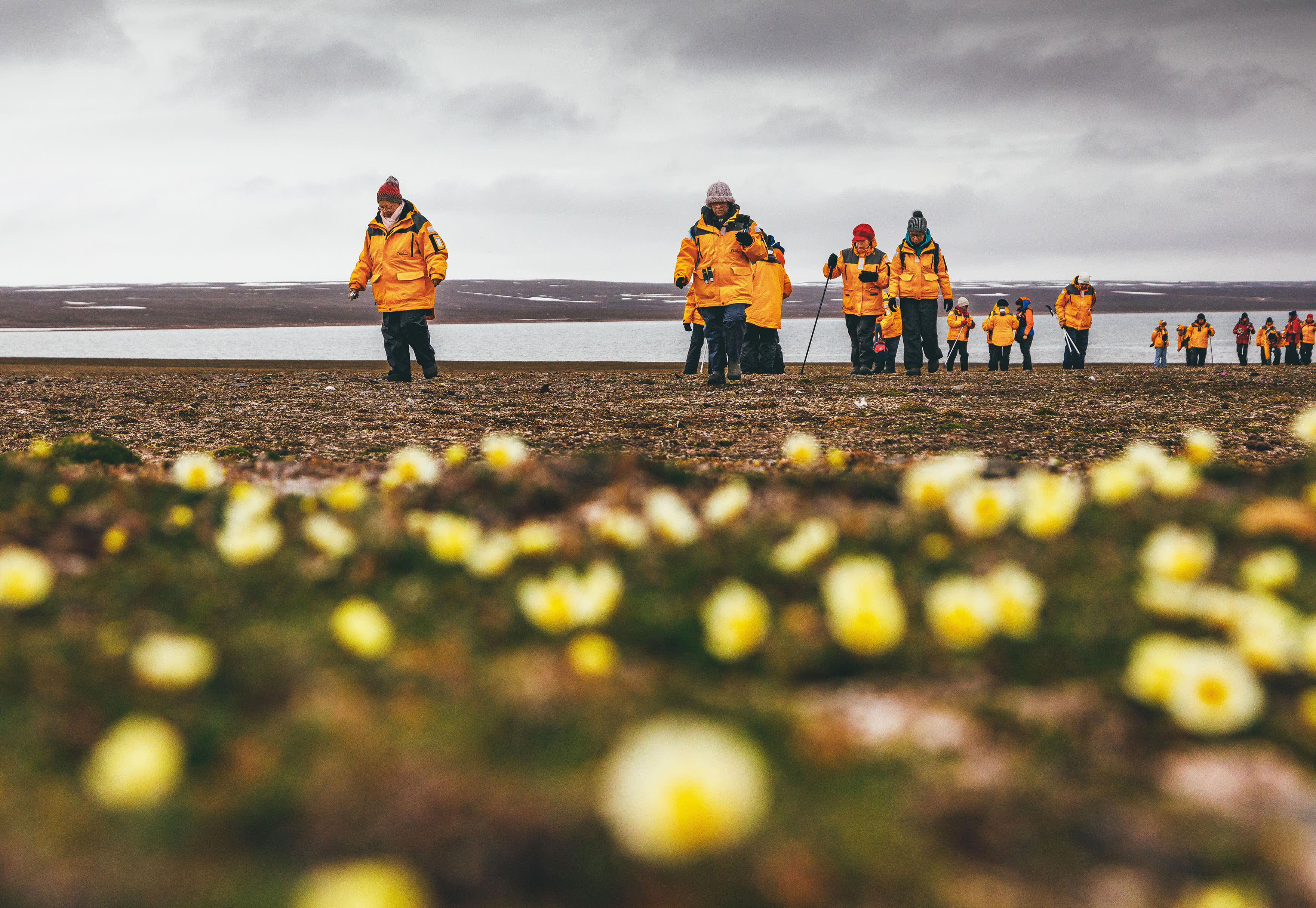 Spitsbergen Highlights: Wildlife Capital of the Arctic