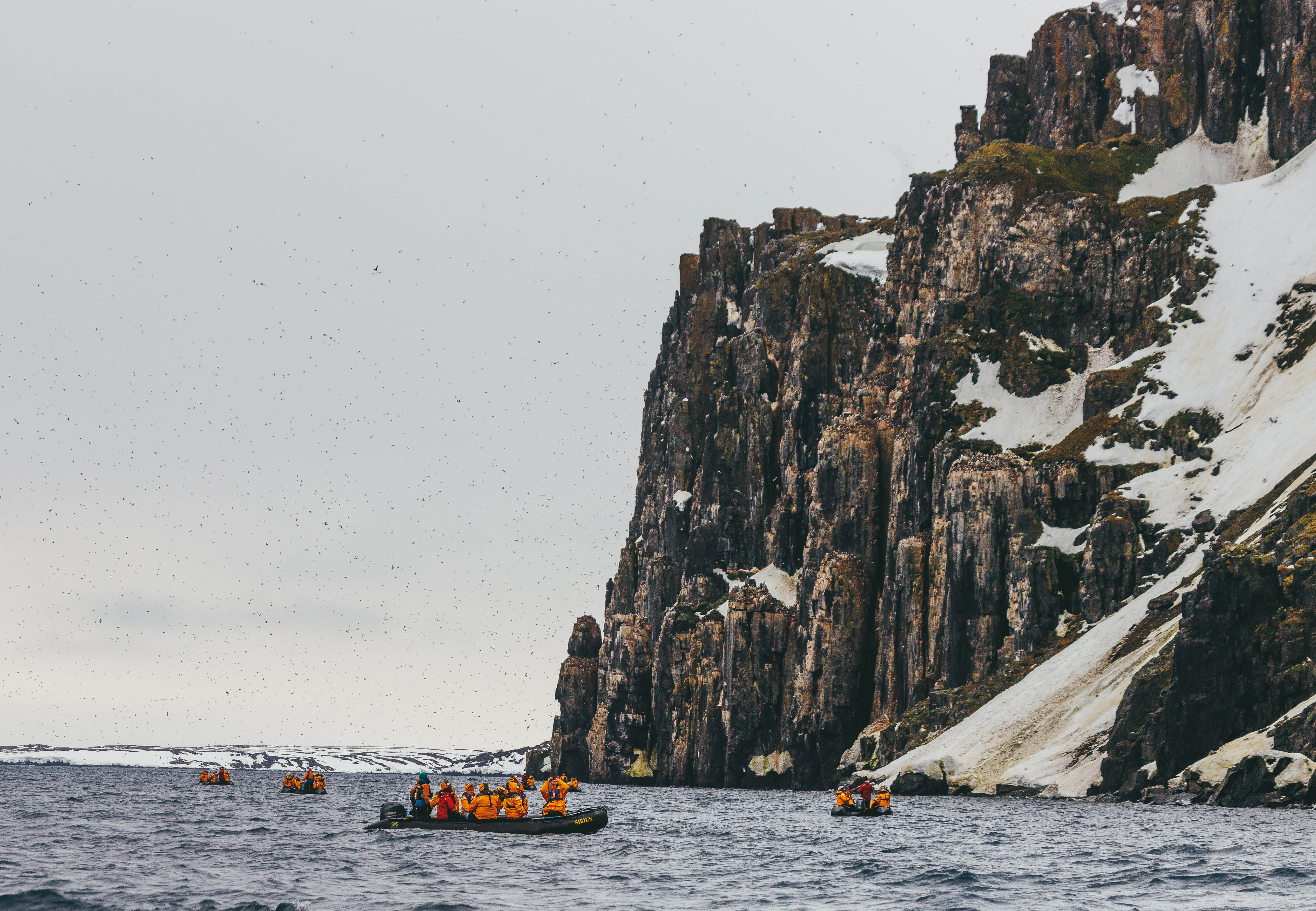 Svalbard in Summer: Tundra, Whales and the Midnight Sun