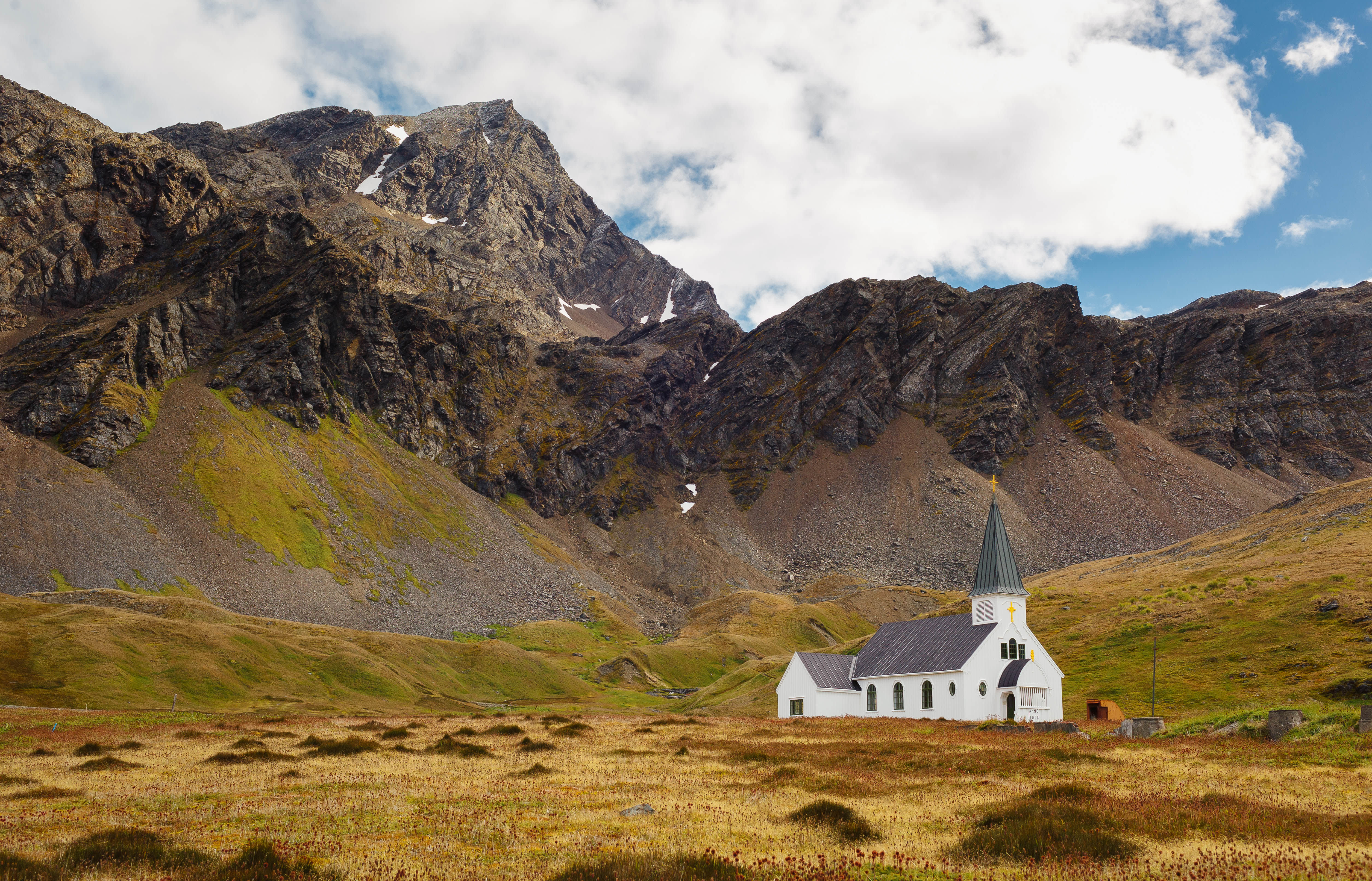 Falkland Islands and South Georgia: 20-Day Wildlife Adventure