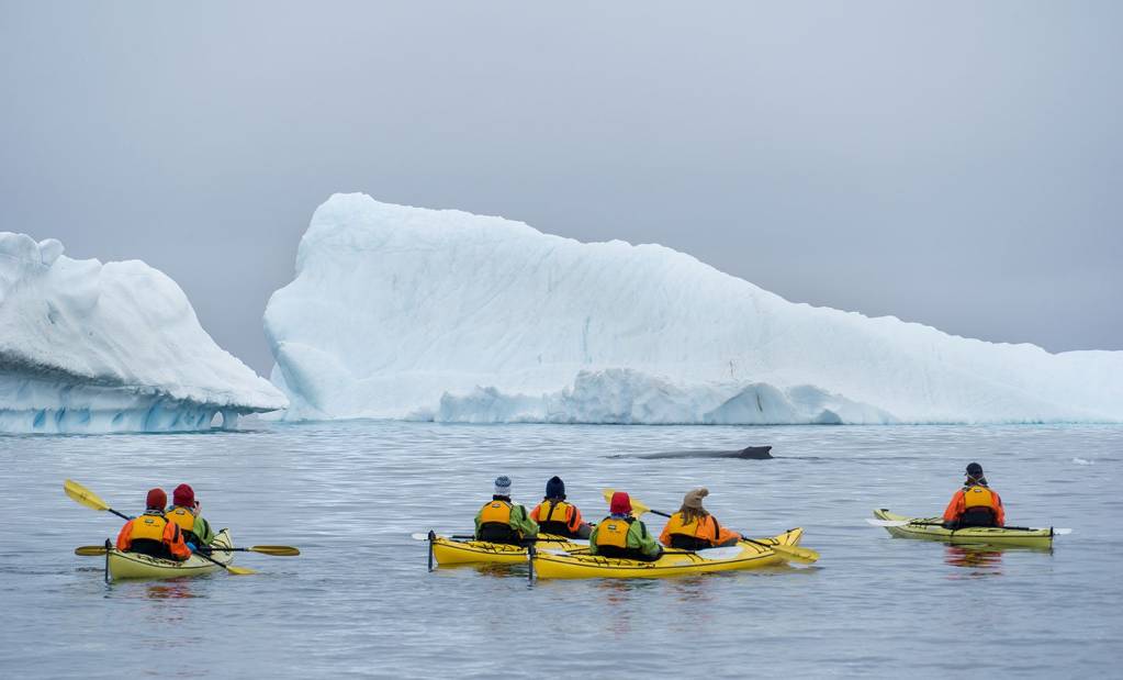 https://res.cloudinary.com/enchanting/q_70%2Cf_auto%2Cw_1024%2Ch_619%2Cc_fit/quark-web/2024/09/ANT1920-by-Dagny-Ivarsdottir-5-kayaking.jpg