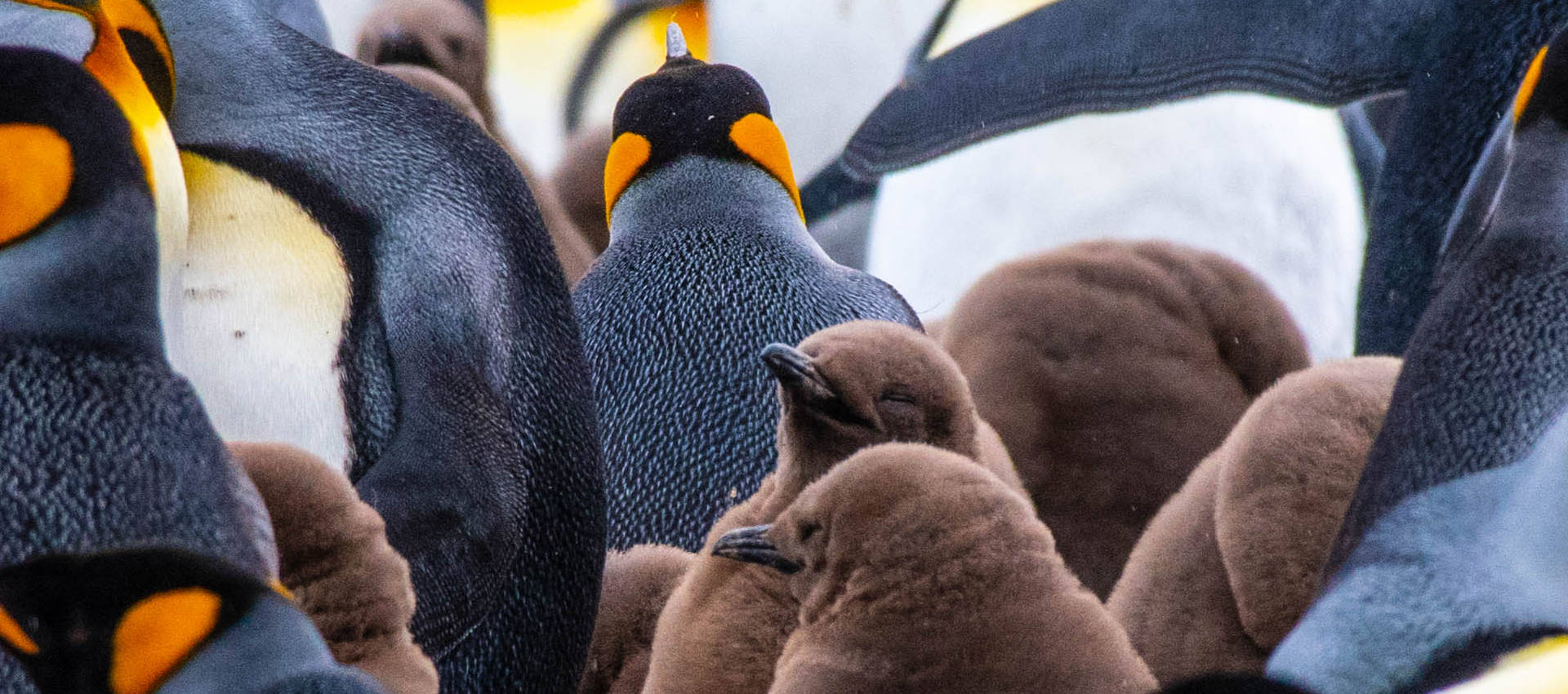 Reviews carousel image