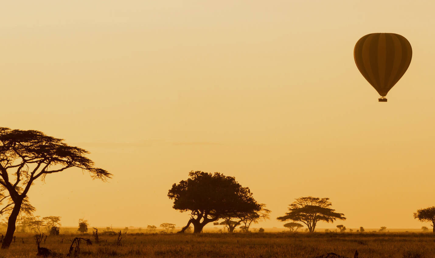 Reviews carousel image