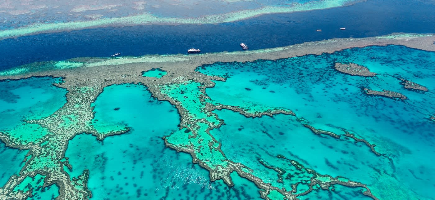 Reviews carousel image