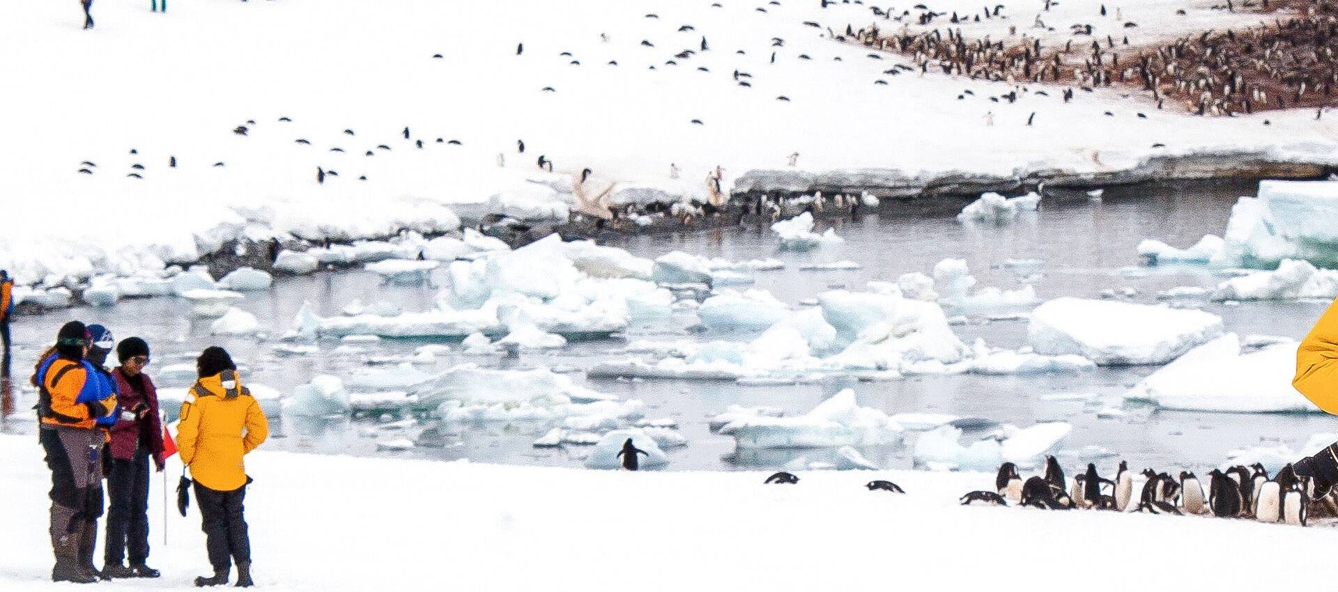 Reviews carousel image