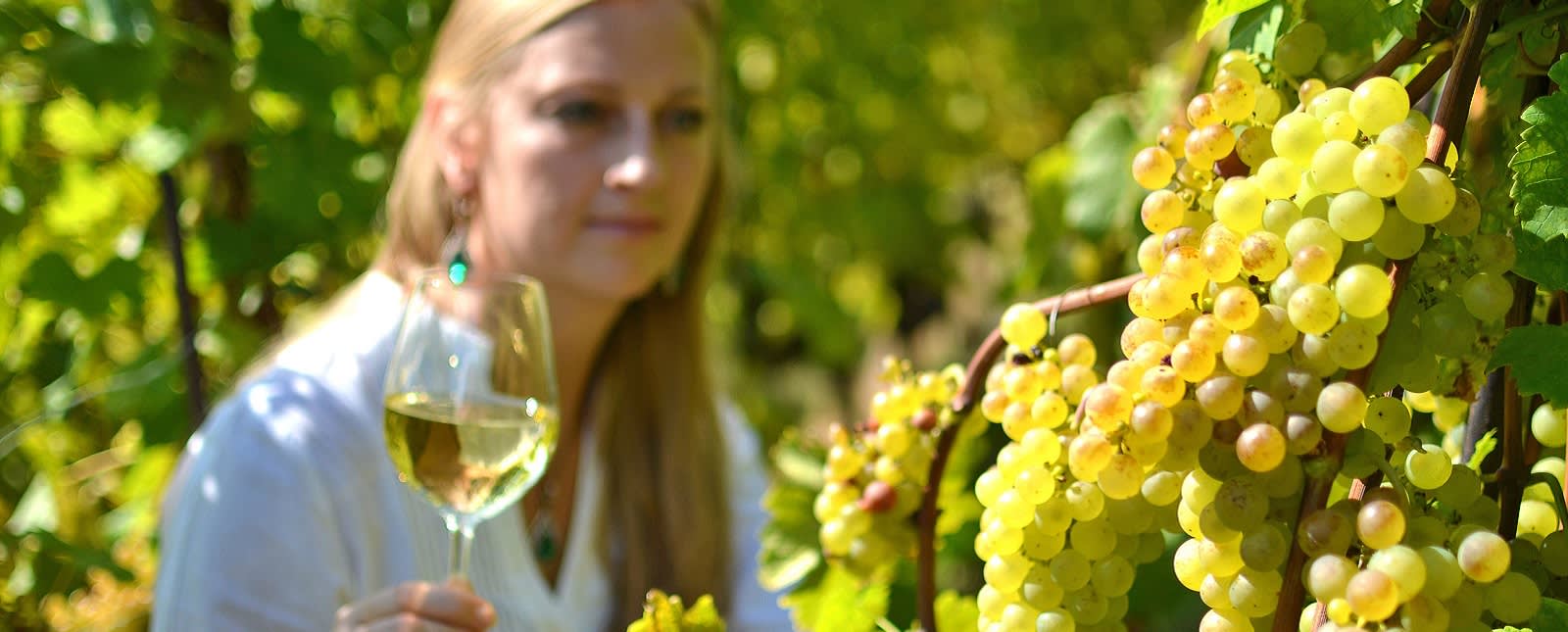 Reviews carousel image