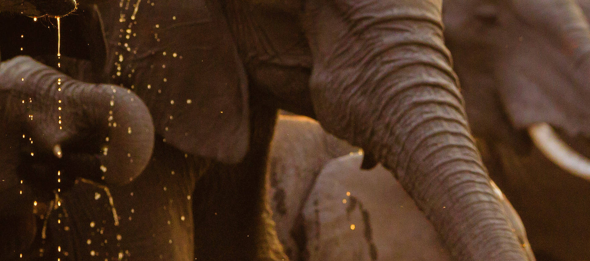 Reviews carousel image