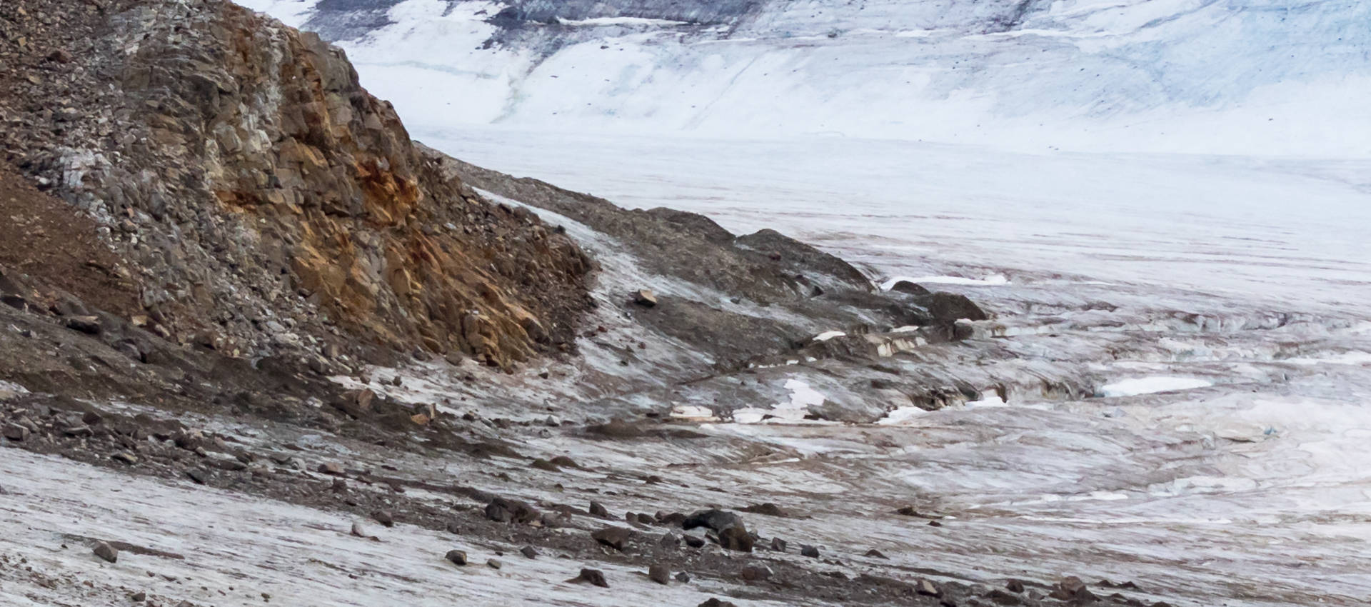 Reviews carousel image