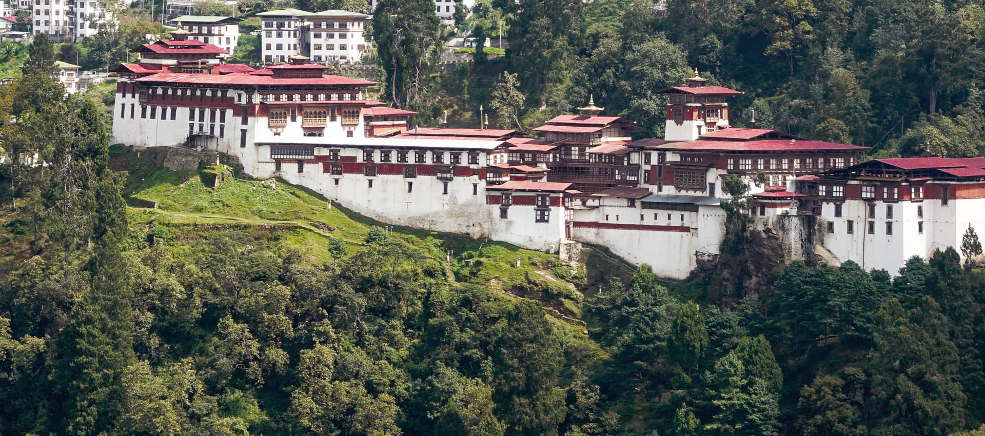 Reviews carousel image