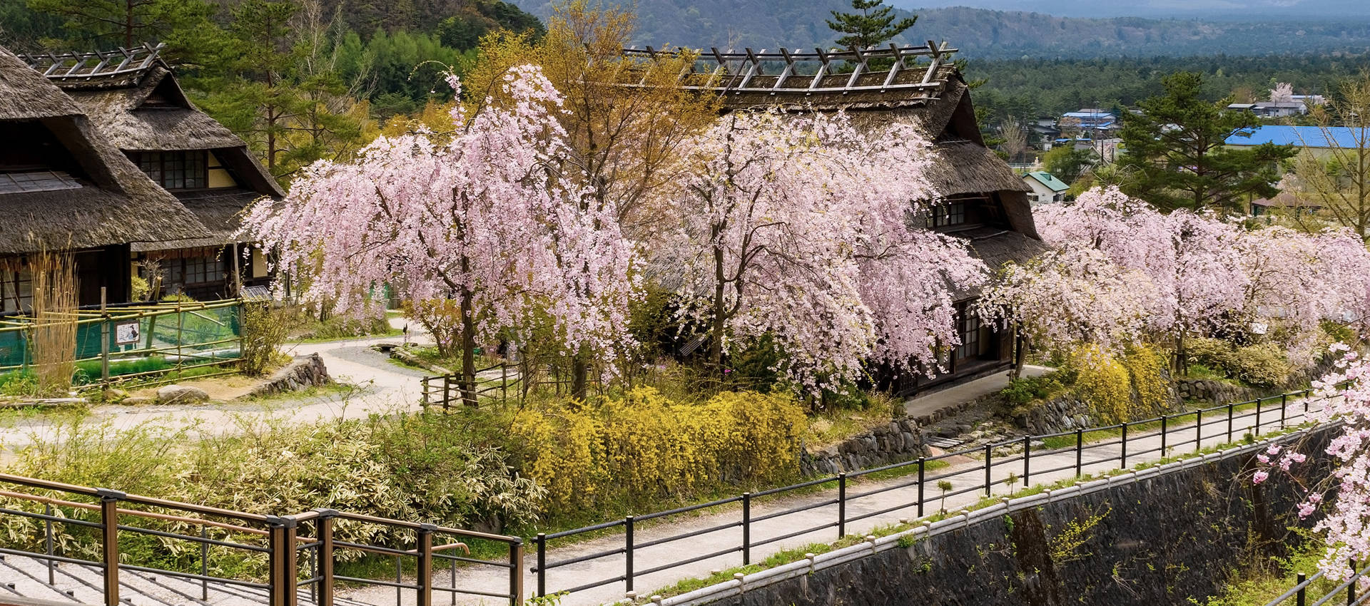 Reviews carousel image