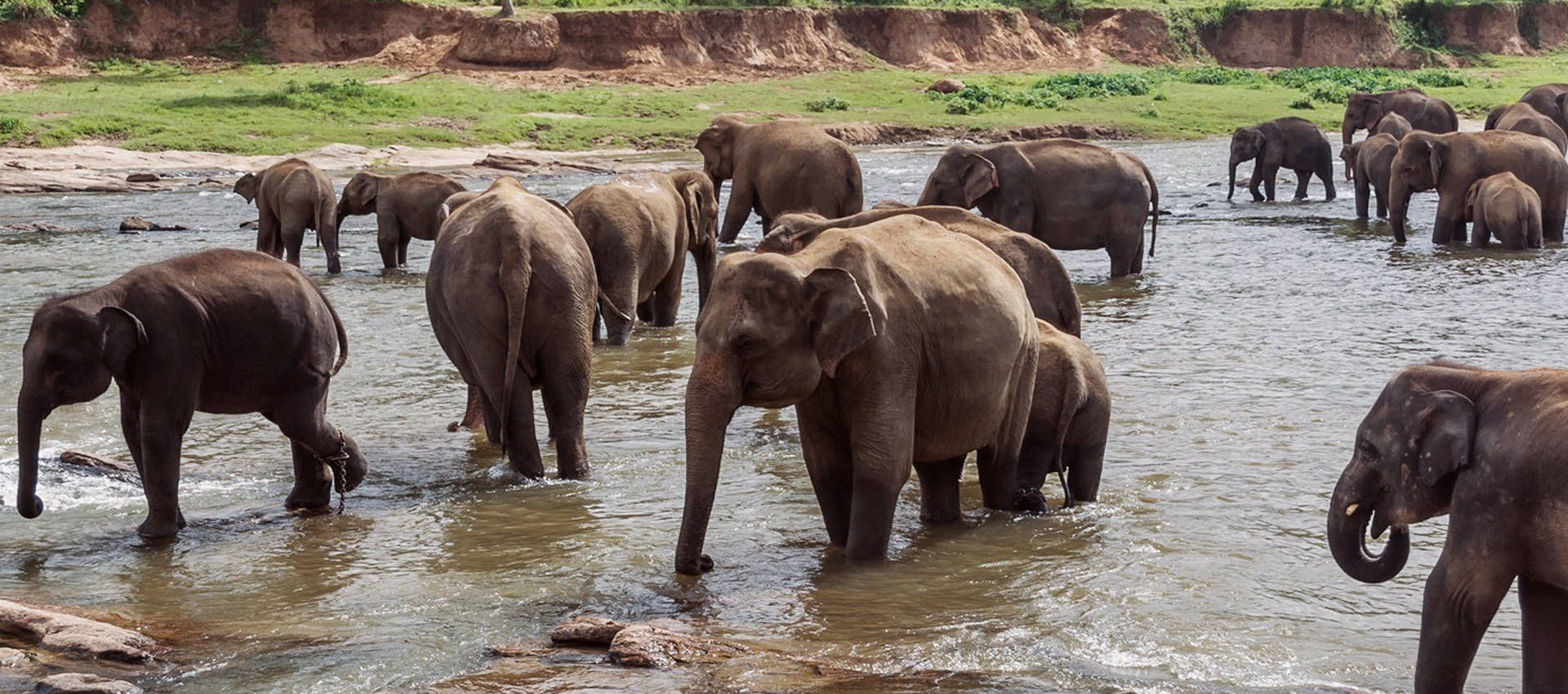 Reviews carousel image