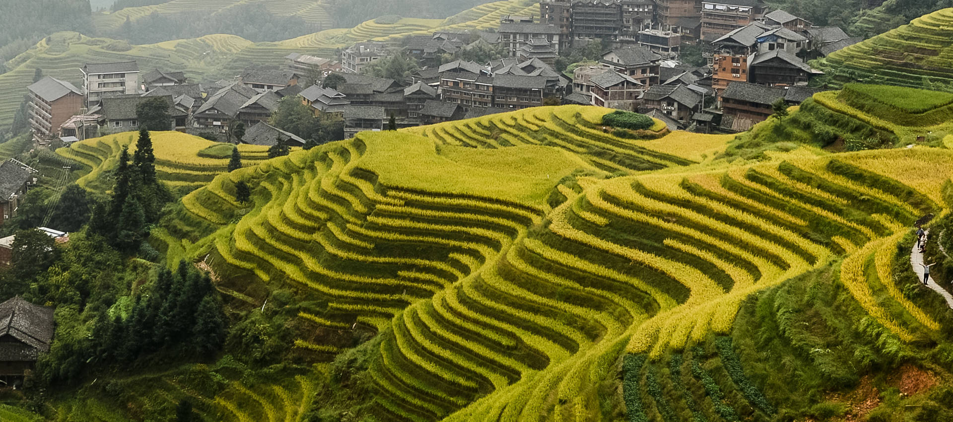 Reviews carousel image