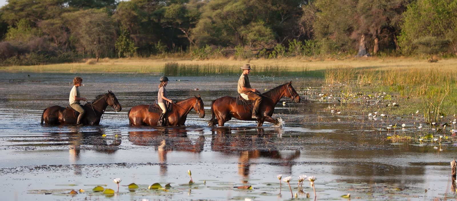 Reviews carousel image