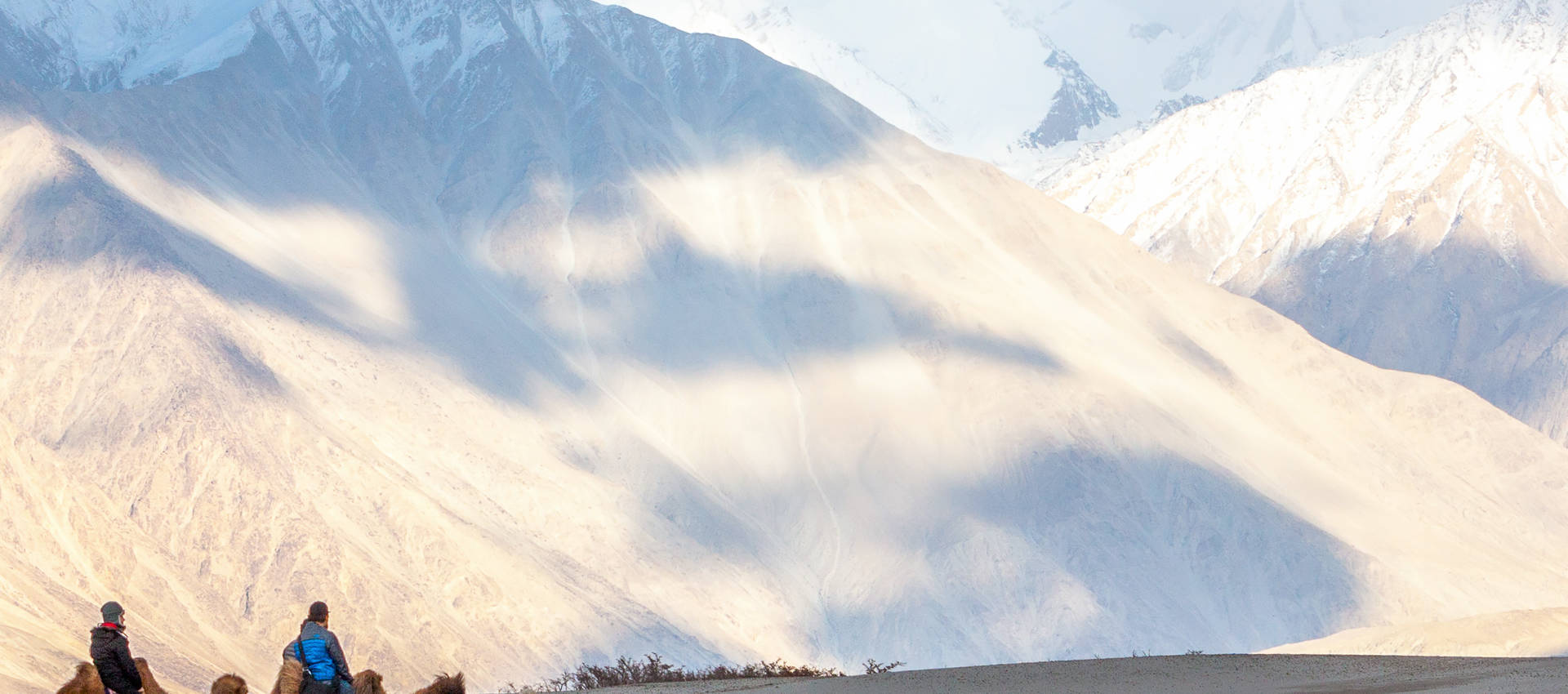 Reviews carousel image