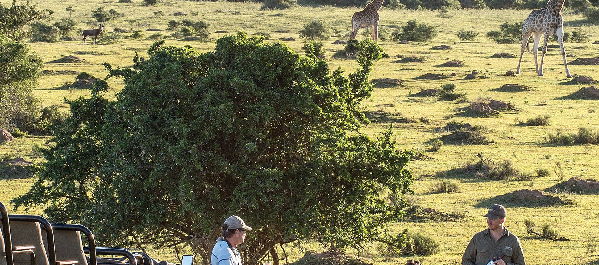 Reviews carousel image