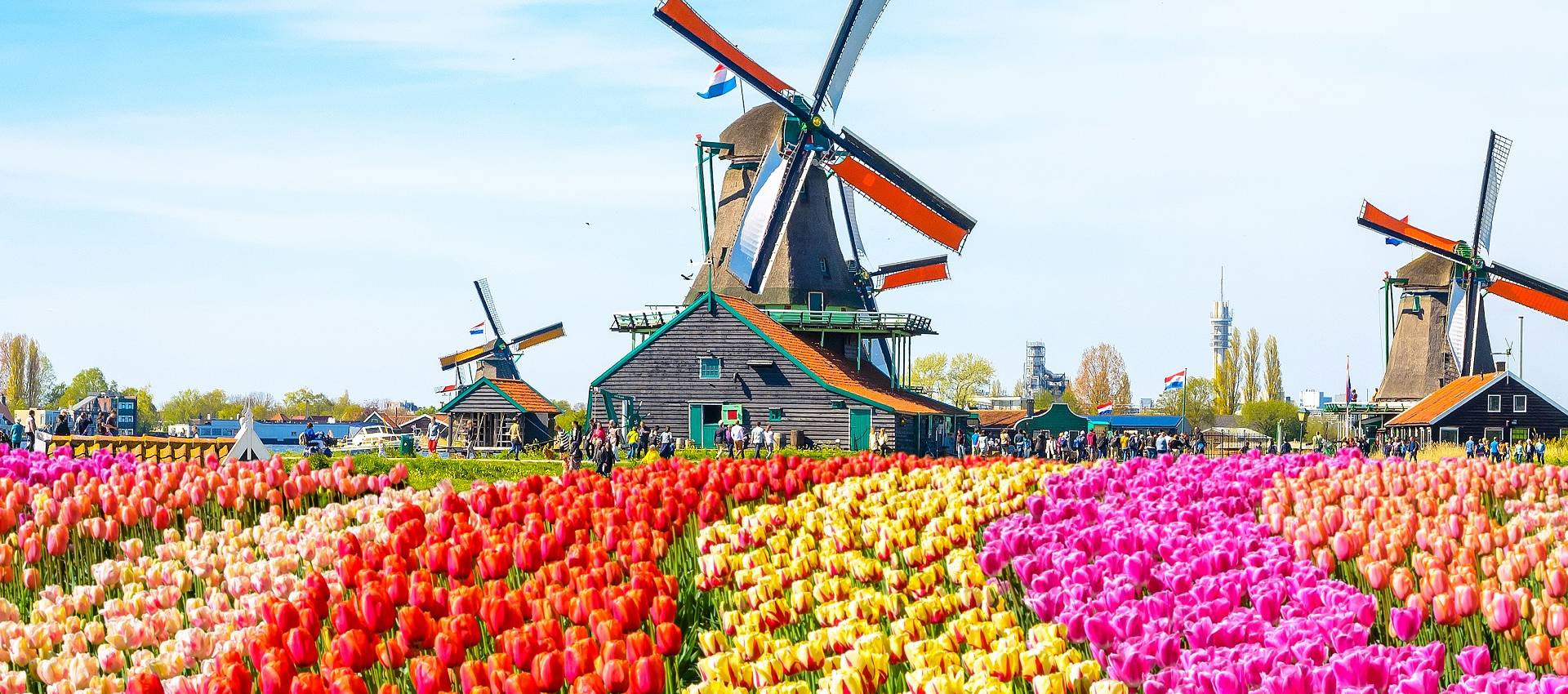 Reviews carousel image