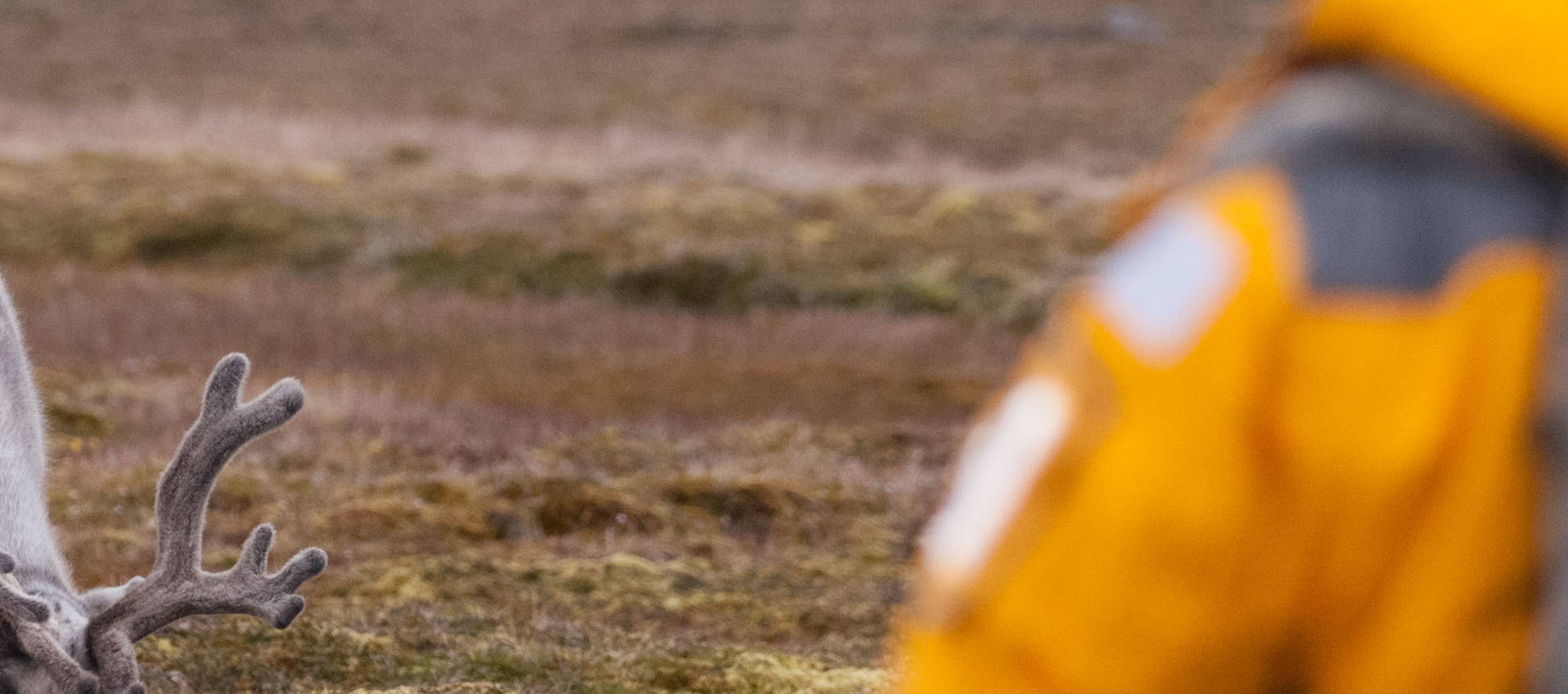 Reviews carousel image