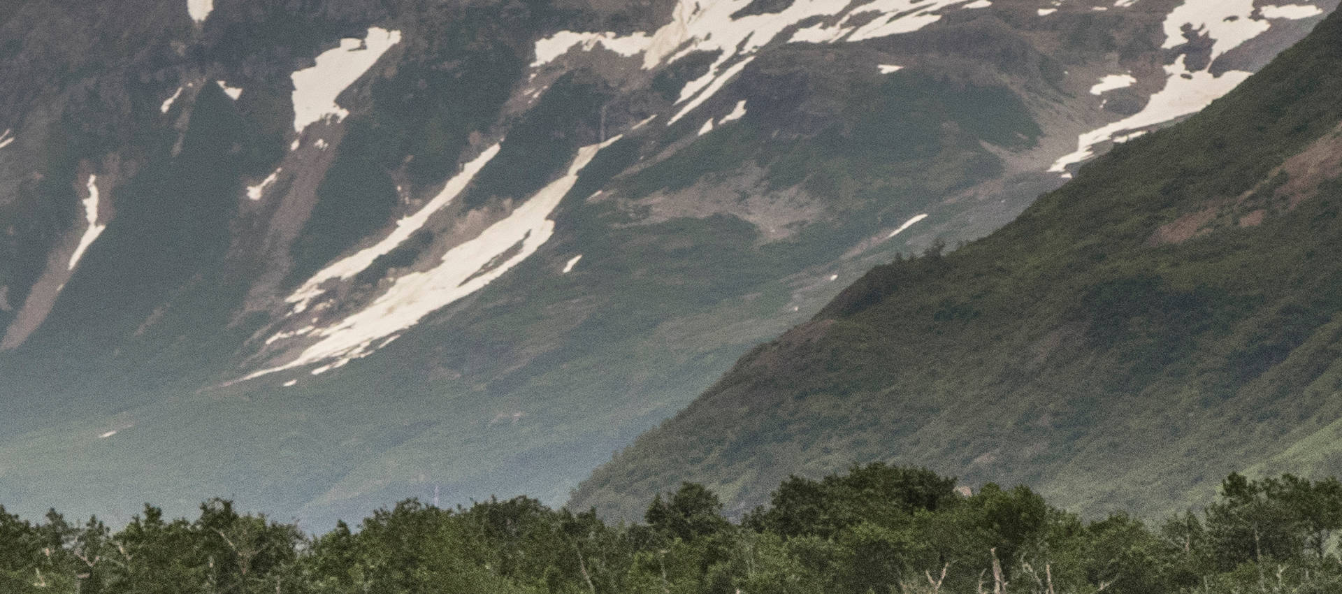 Reviews carousel image