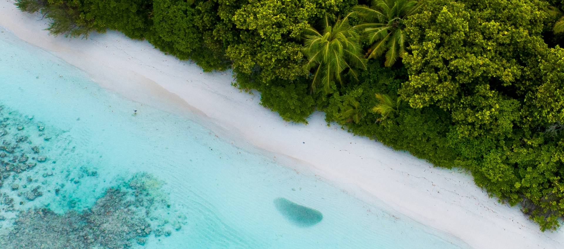 Reviews carousel image