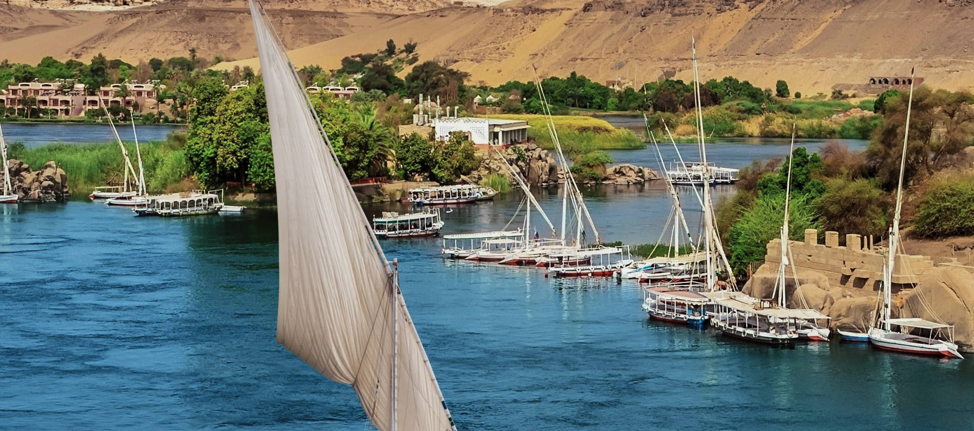 Reviews carousel image