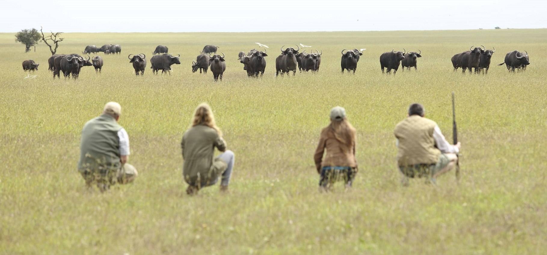 Reviews carousel image