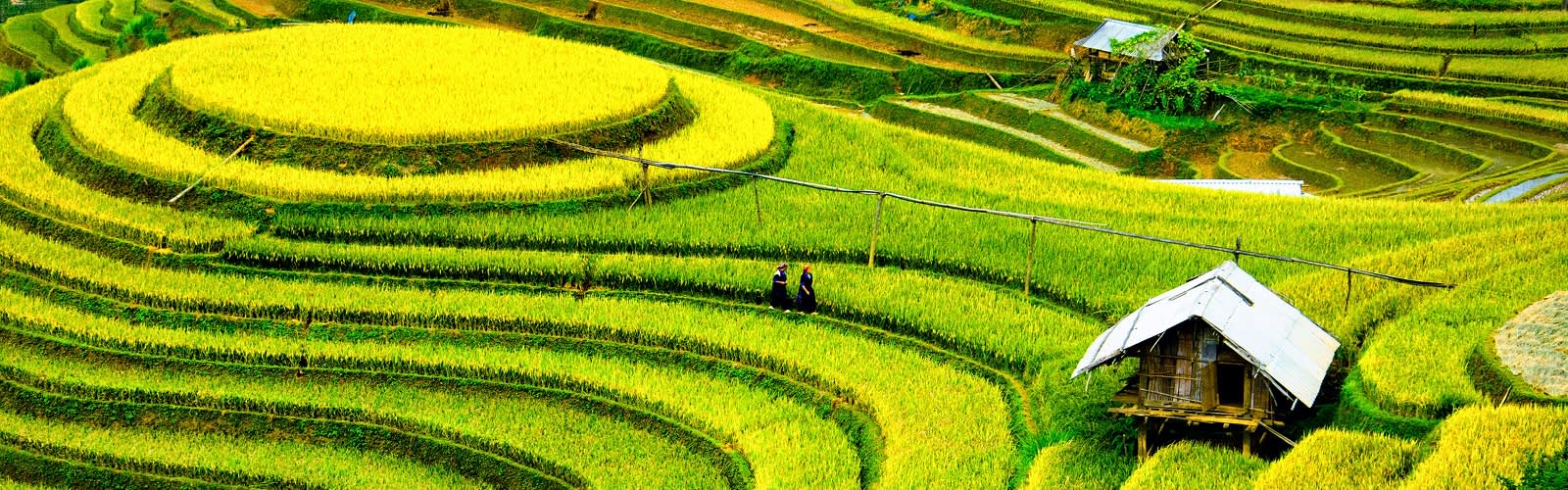 Reviews carousel image