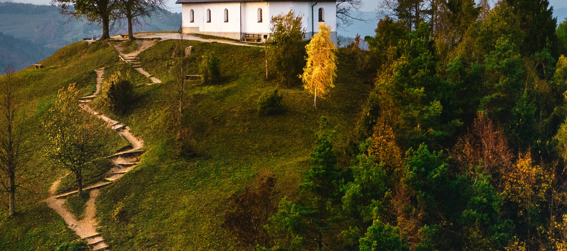 Reviews carousel image