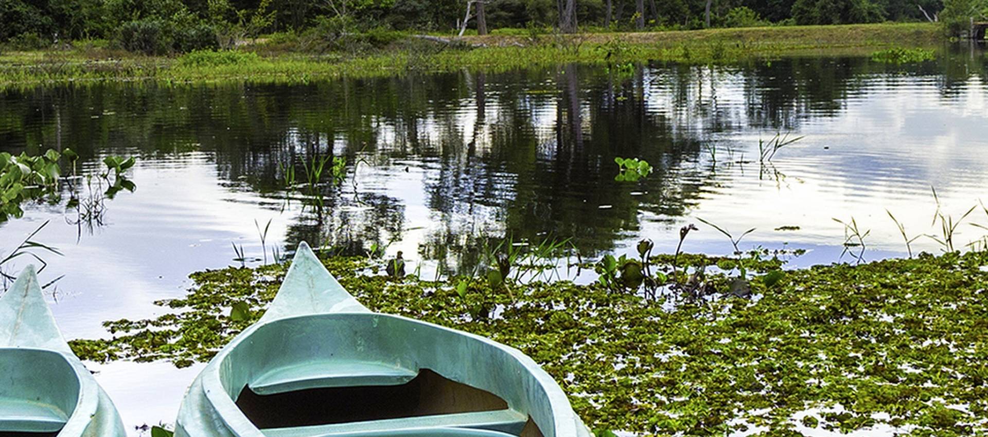 Reviews carousel image