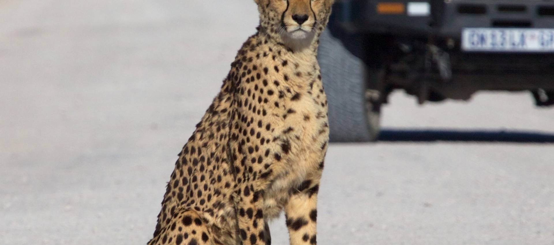 Reviews carousel image