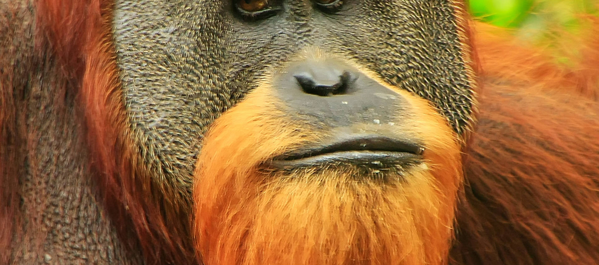 Reviews carousel image