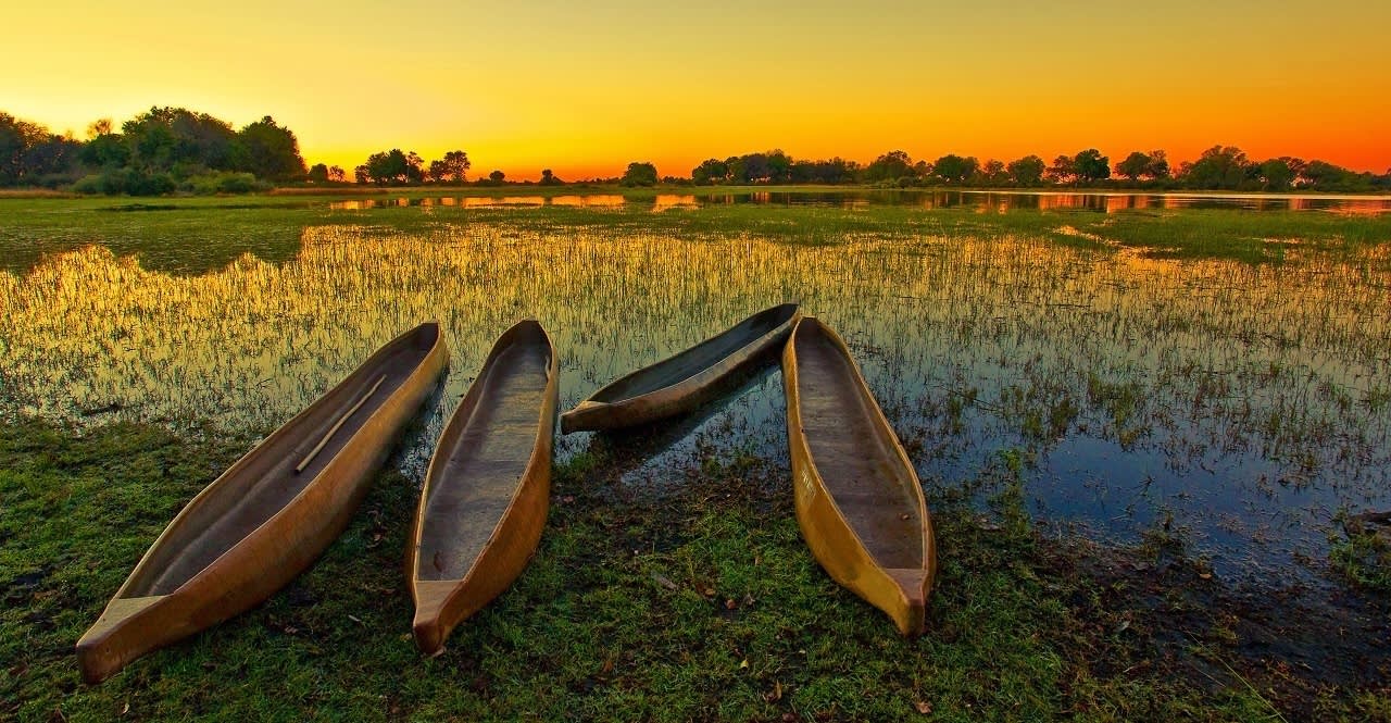 Top 5 Things to do at the Okavango Delta on an Africa Safari