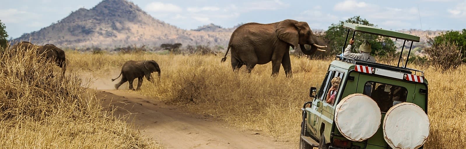 Best Time To Visit Africa Safari Destinations - Enchanting Travels