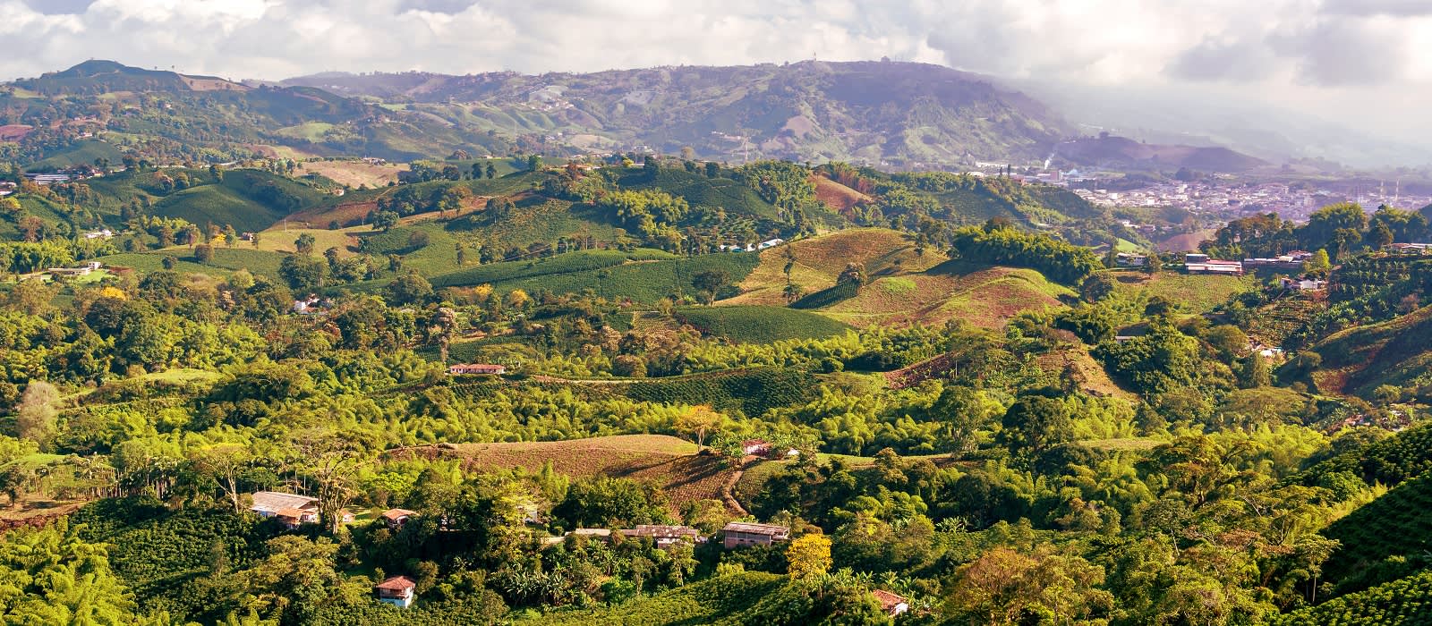 Armenia, Quindio Botanical Garden and Coffee Farm Private Tour 2023