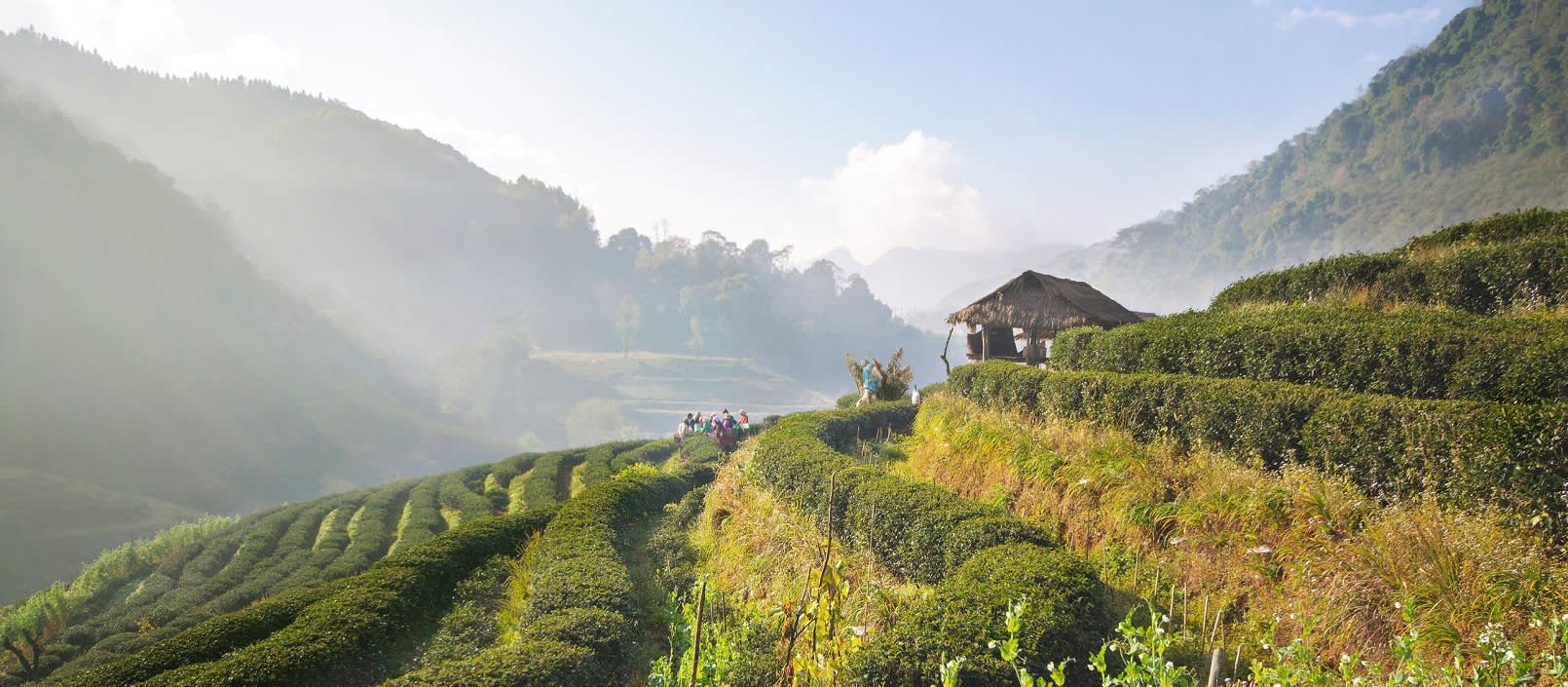 Chiang Mai Sehenswürdigkeiten - Enchanting Travels