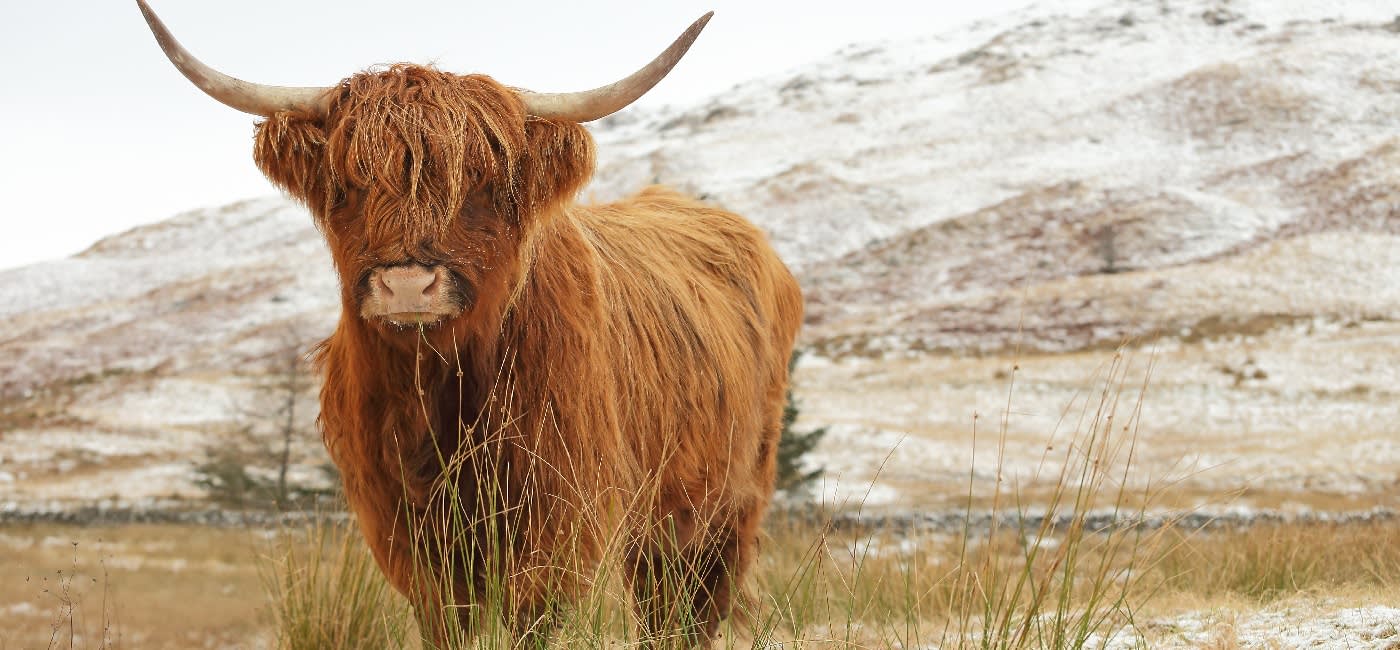 Best Time to Visit UK & Ireland | Monthly Climate Guide