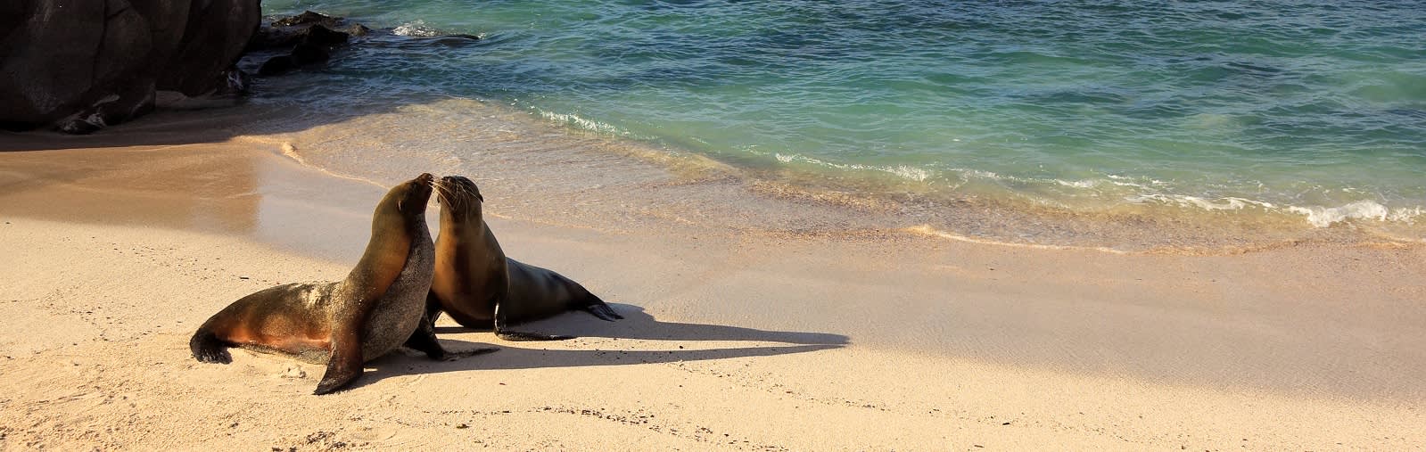 Best Time To Visit Galapagos Islands - Enchanting Travels
