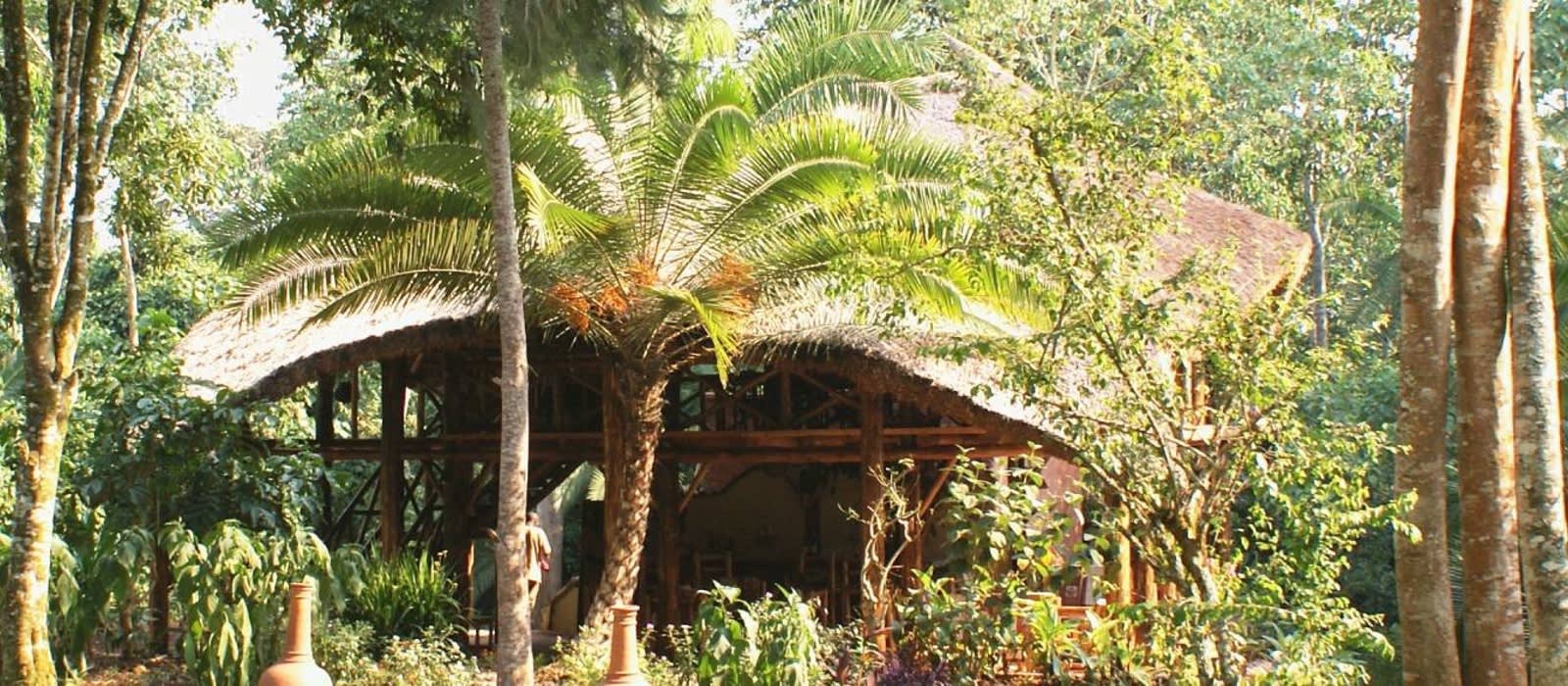 Kibale Forest Camp - Enchanting Travels