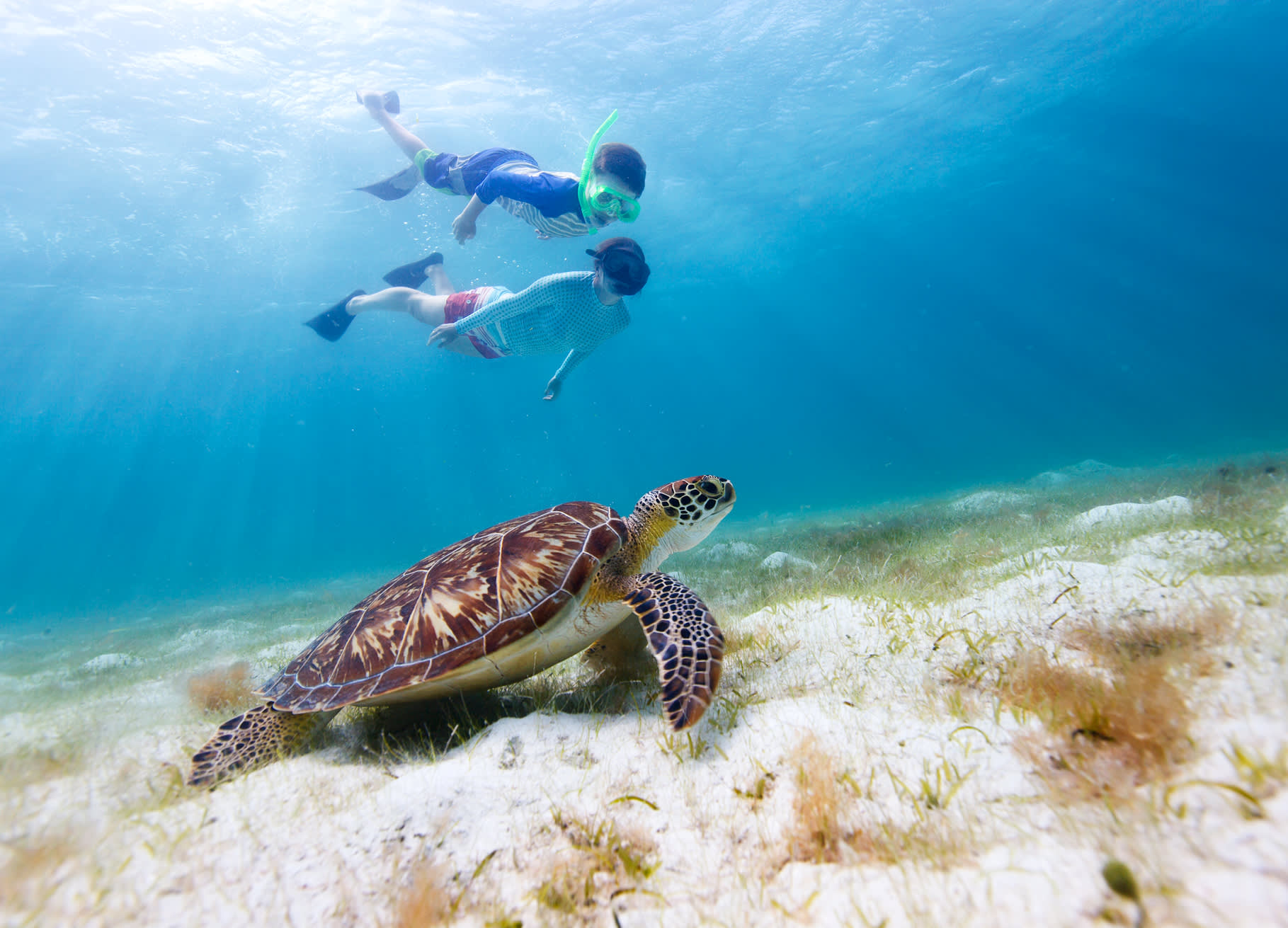Best Time To Visit Ecuador & Galapagos - Enchanting Travels