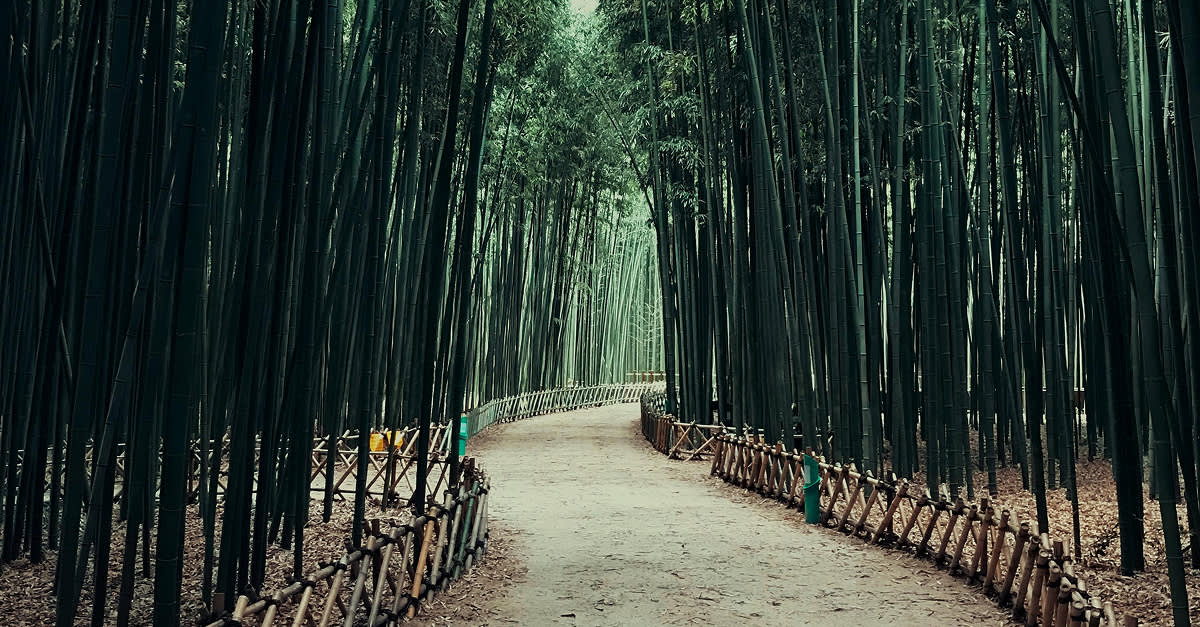 Travel to South Korea | Enchanting Travels
