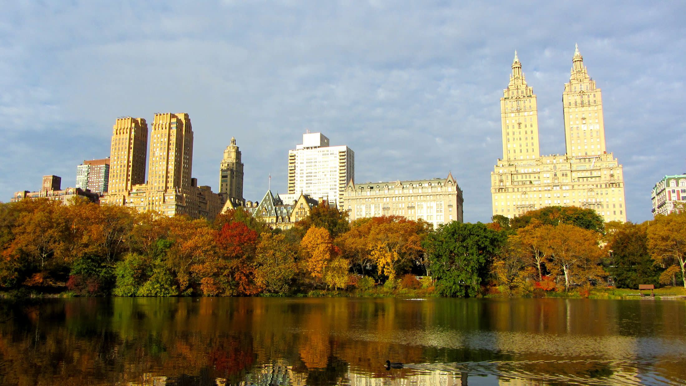 Central Park Skyline