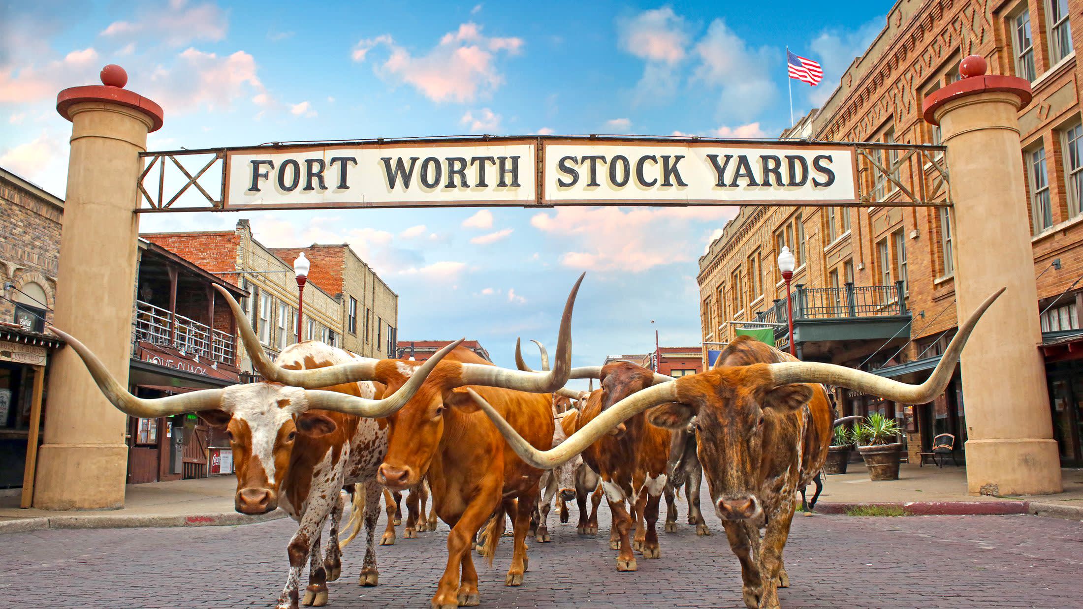 tours in dallas fort worth