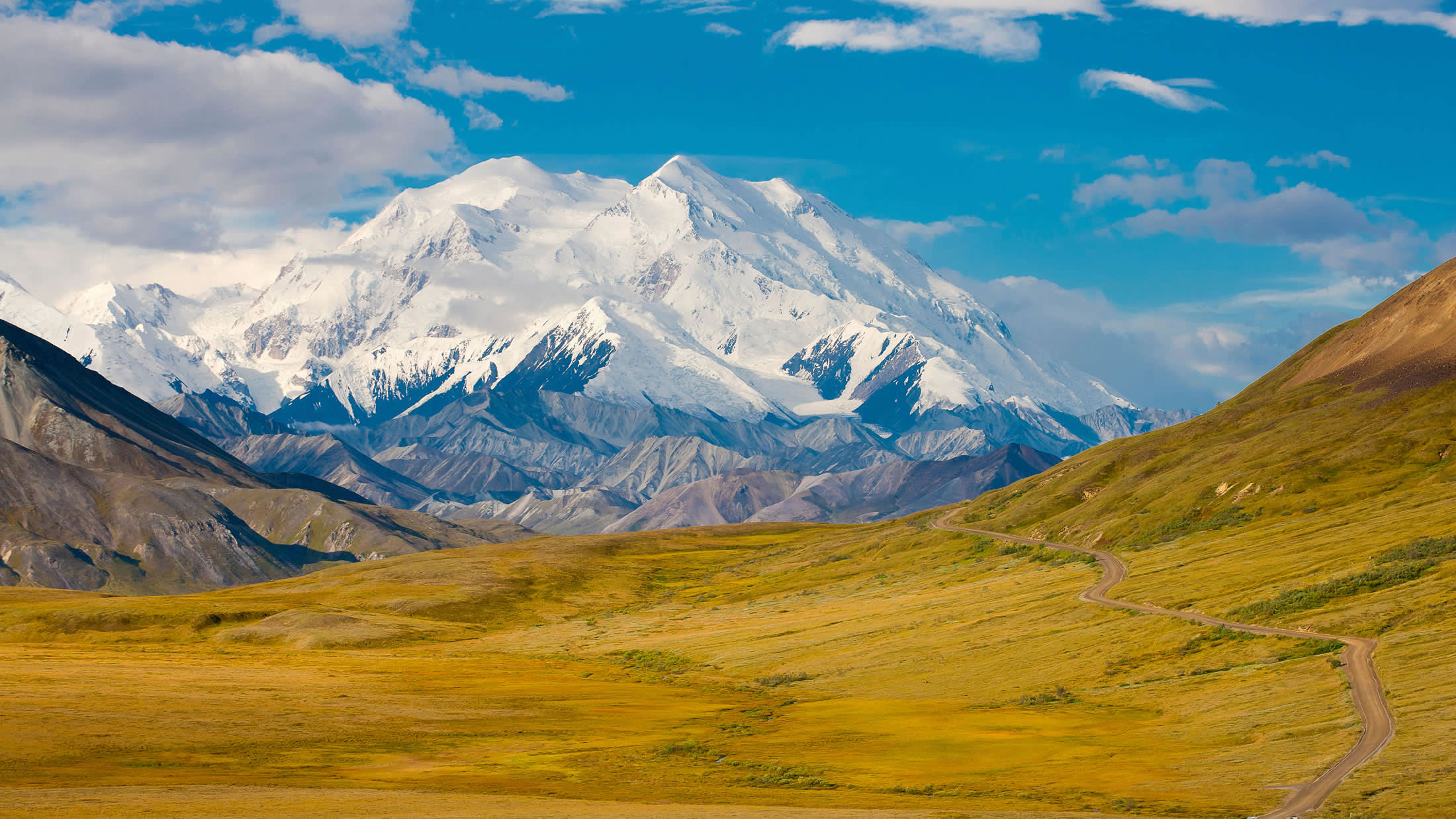 Denali National Park