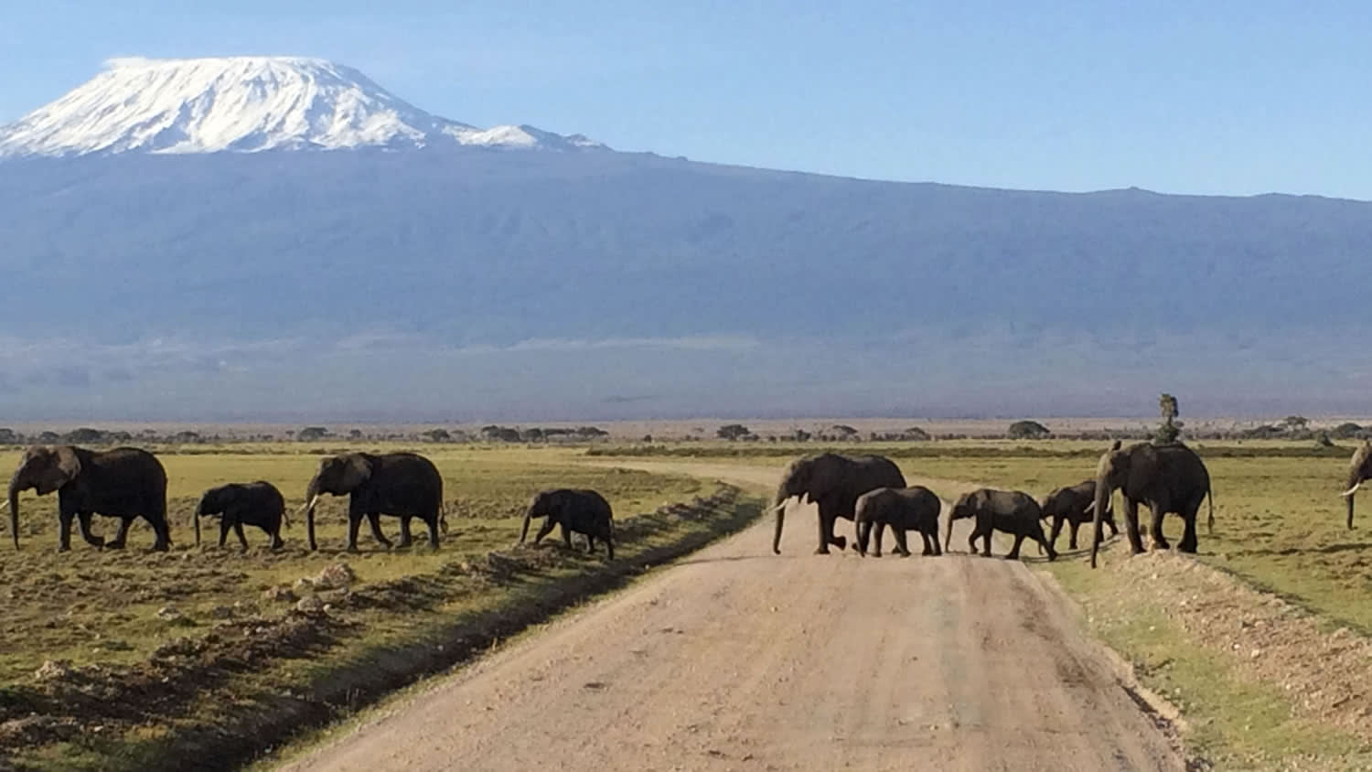 Amboseli National Park
