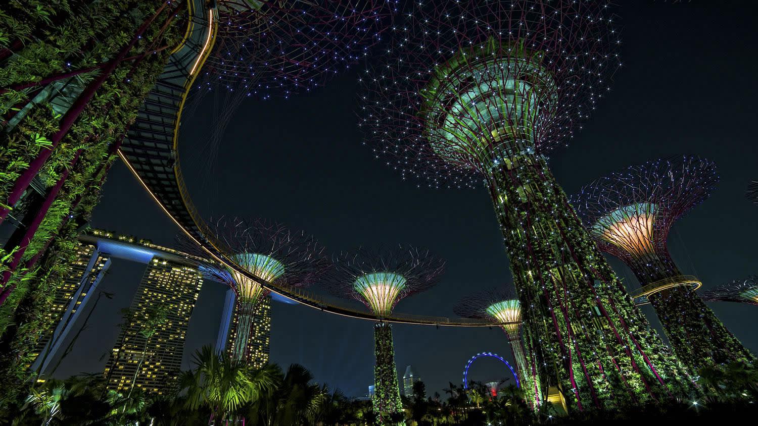 gardens by the bay singapore