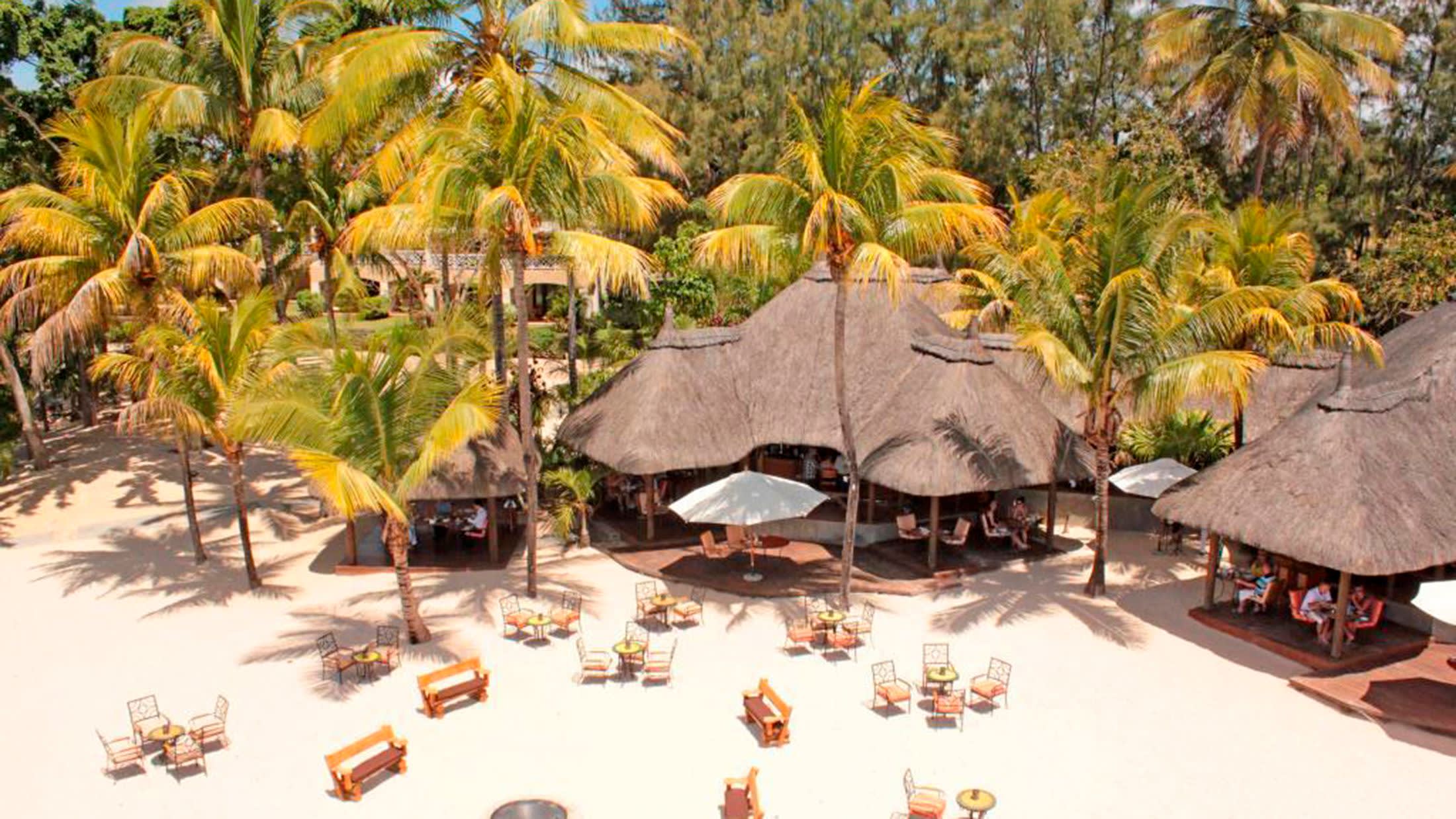 a group of palm trees on a dining table