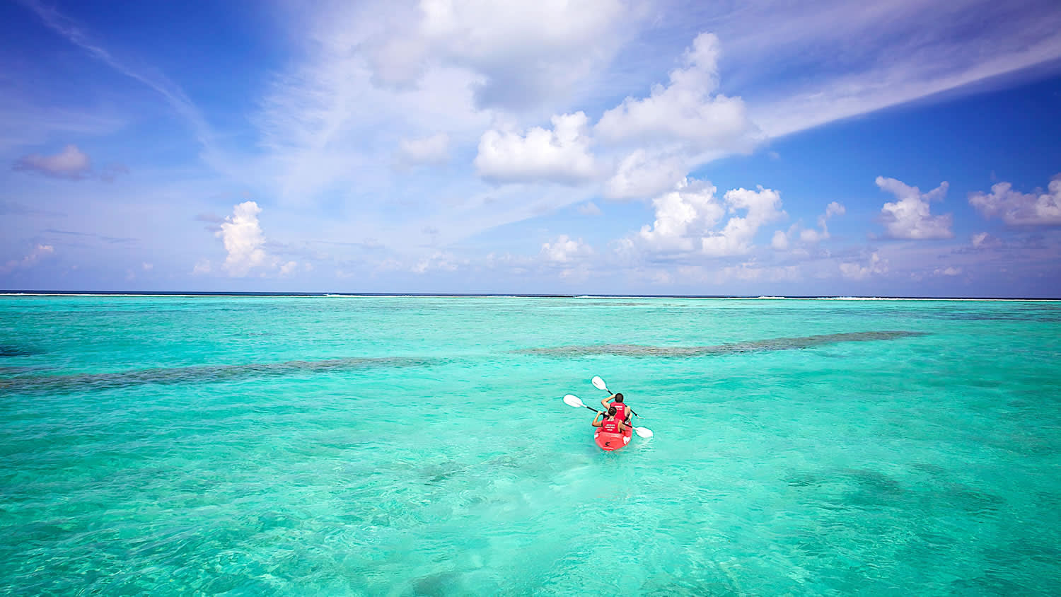 a group of people swimming in a body of water
