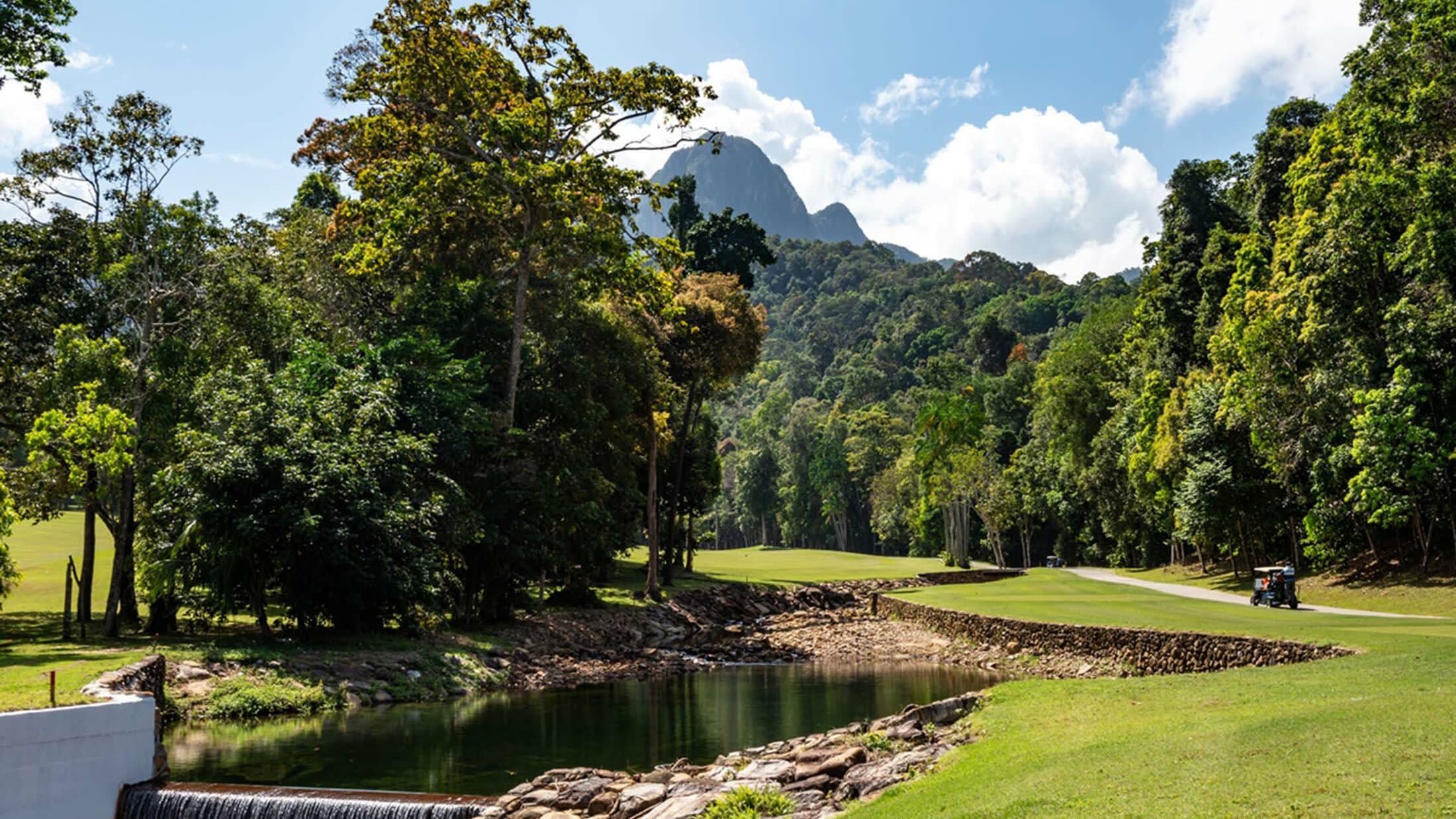 a body of water surrounded by trees