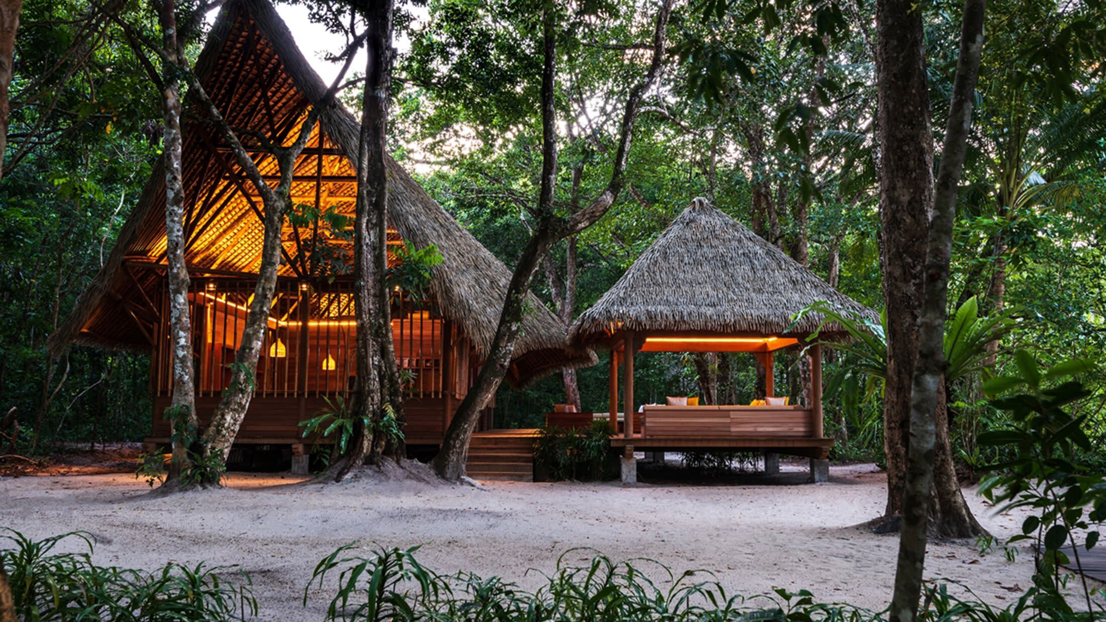 a tree in front of a house