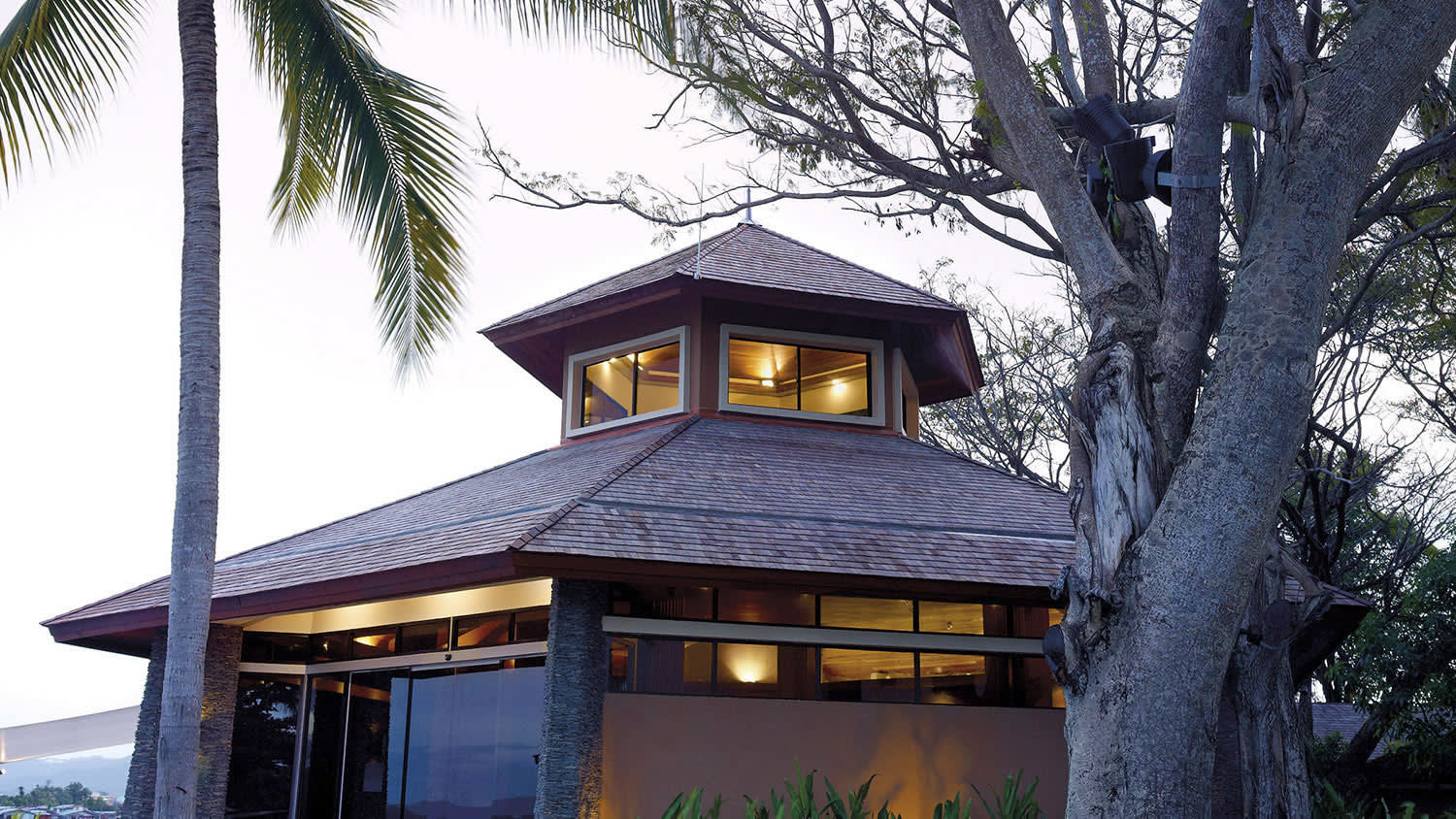 a tree in front of a building