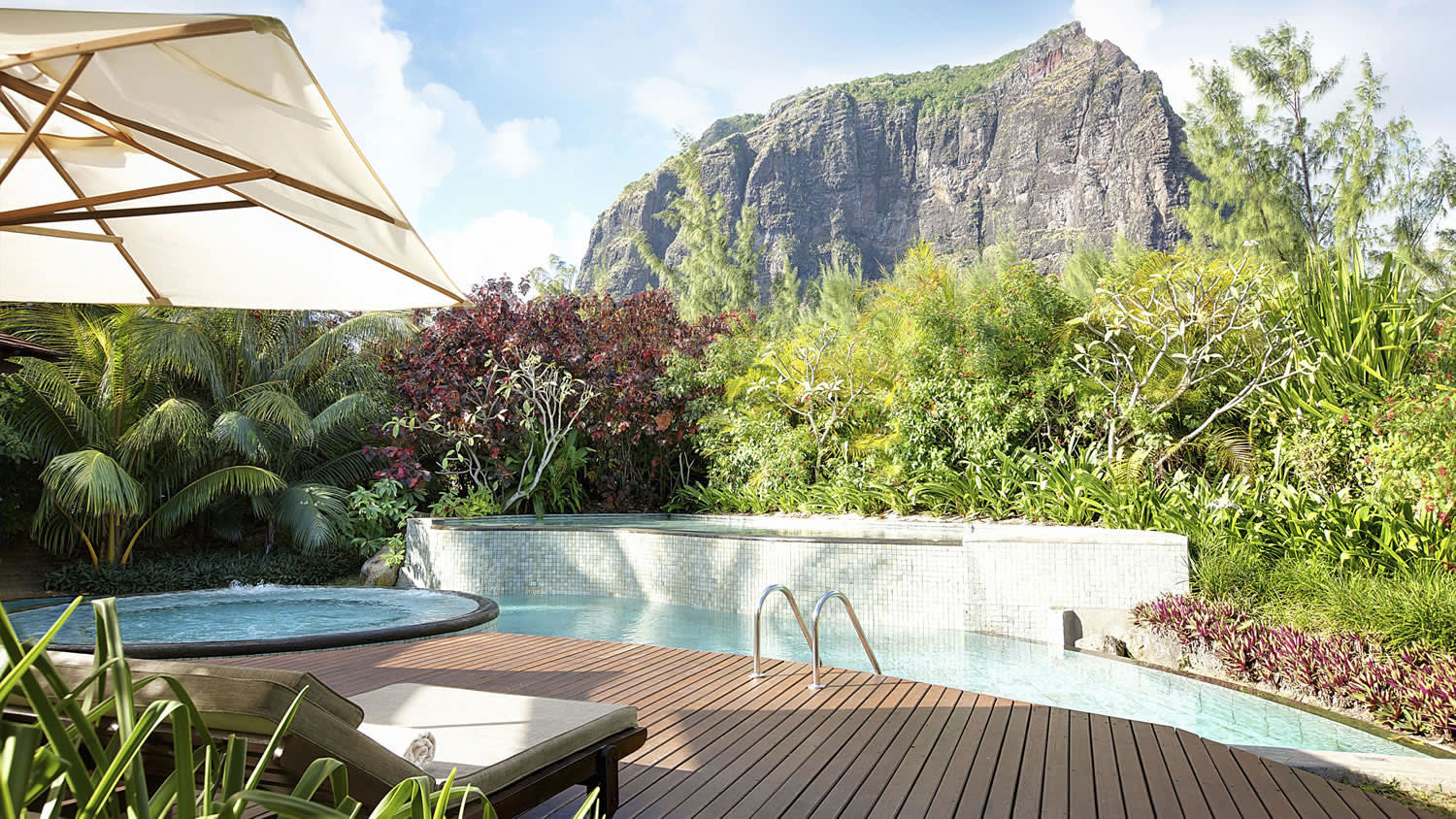 a close up of a flower garden